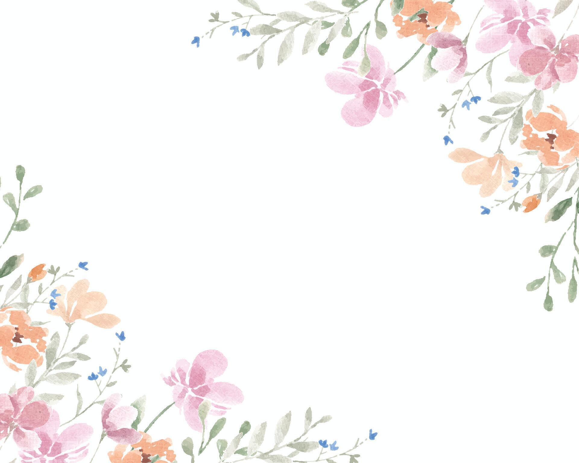 Pink and Yellow Wild Watercolor Flower Border Stock Free