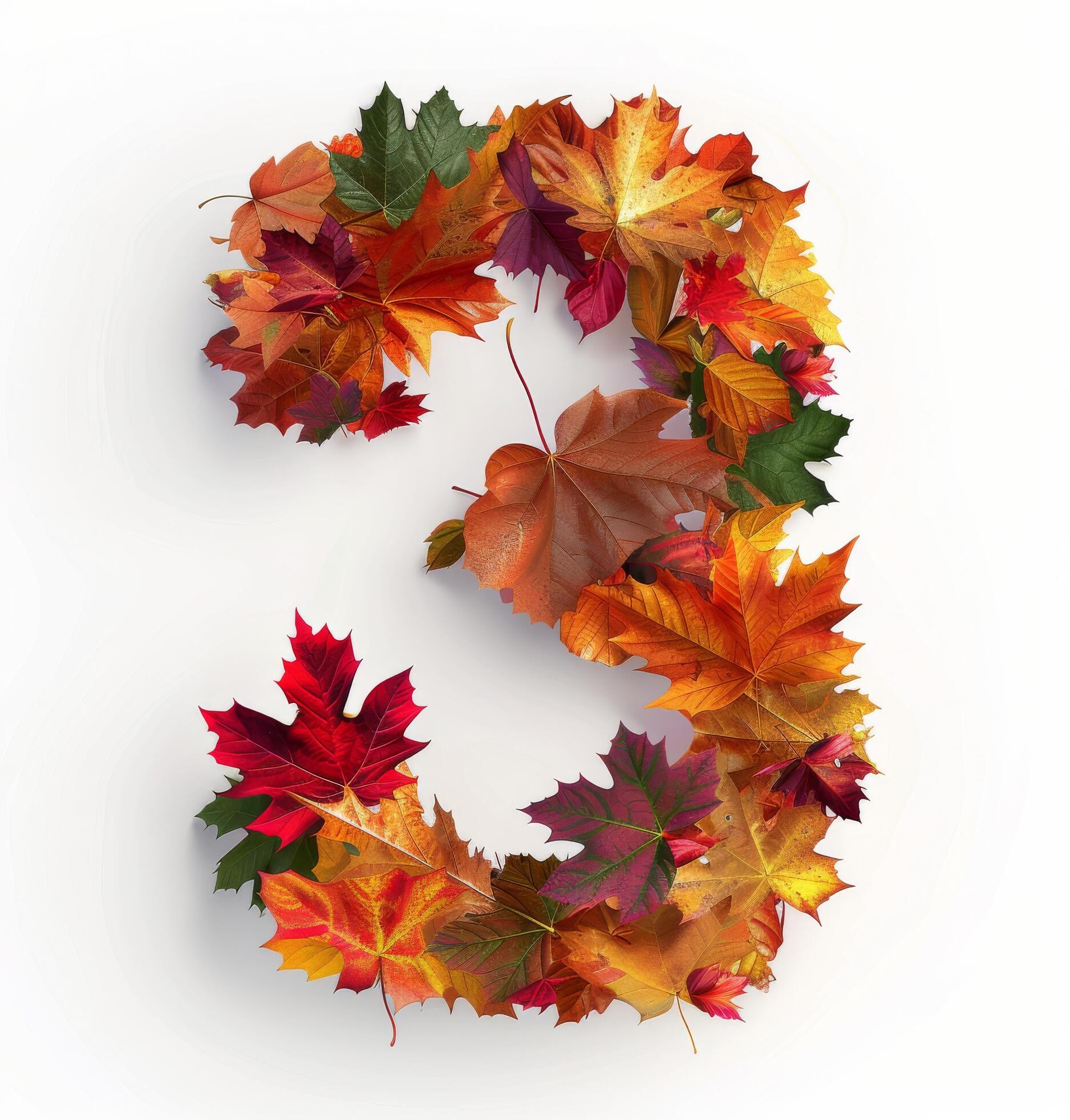 Colorful Autumn Leaves Arranged in a Number Three Shape on a White Background Stock Free