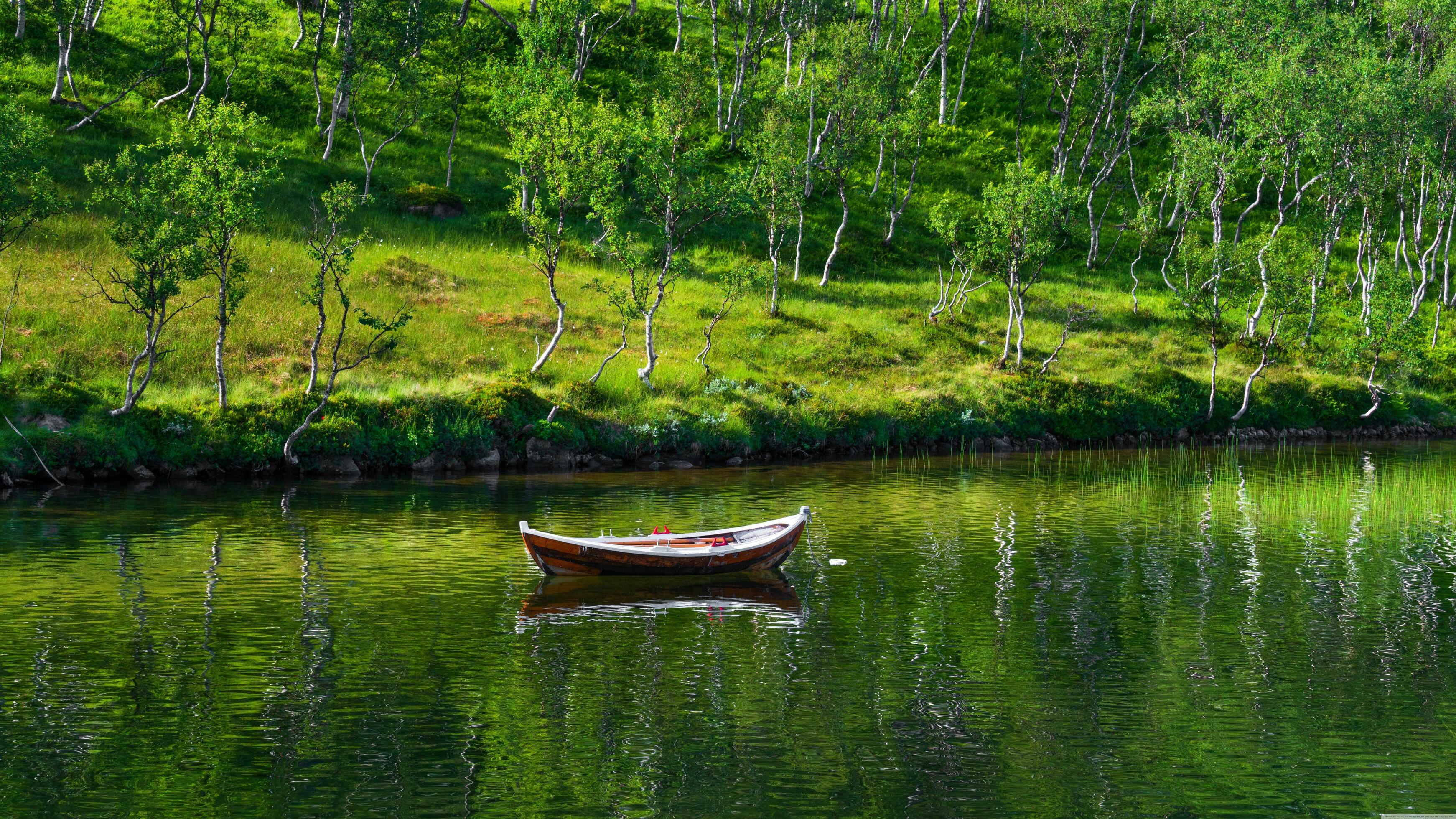 A small boat inside, a pond Pond All around, with many beautiful, Natural, green, small trees, scenery,high resolution background images Stock Free