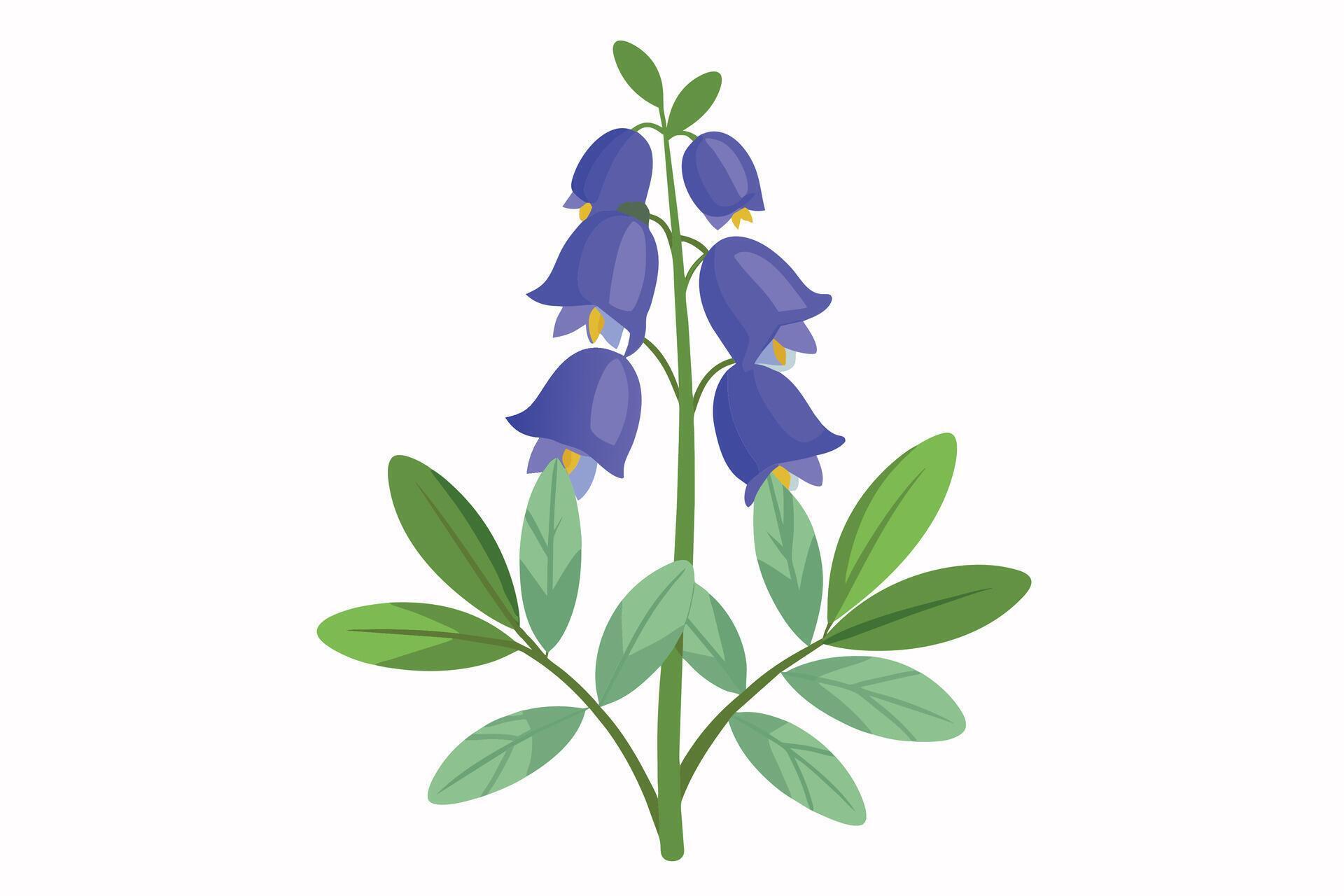 Monkshood Flower Vector Illustration Isolated on a Clean Background Stock Free