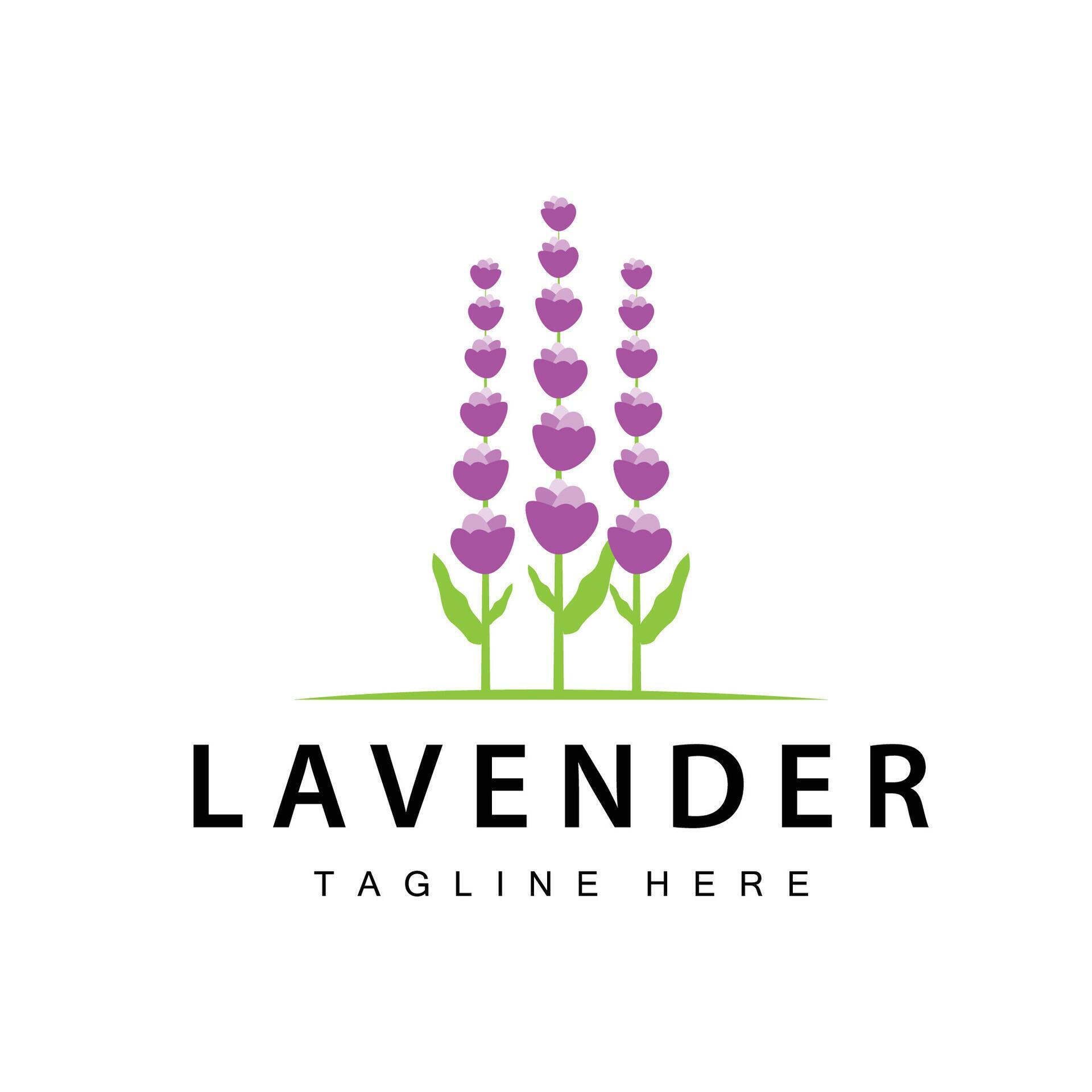 Lavender logo simple design vector cosmetic plant purple color and aromatherapy lavender flower garden template Stock Free