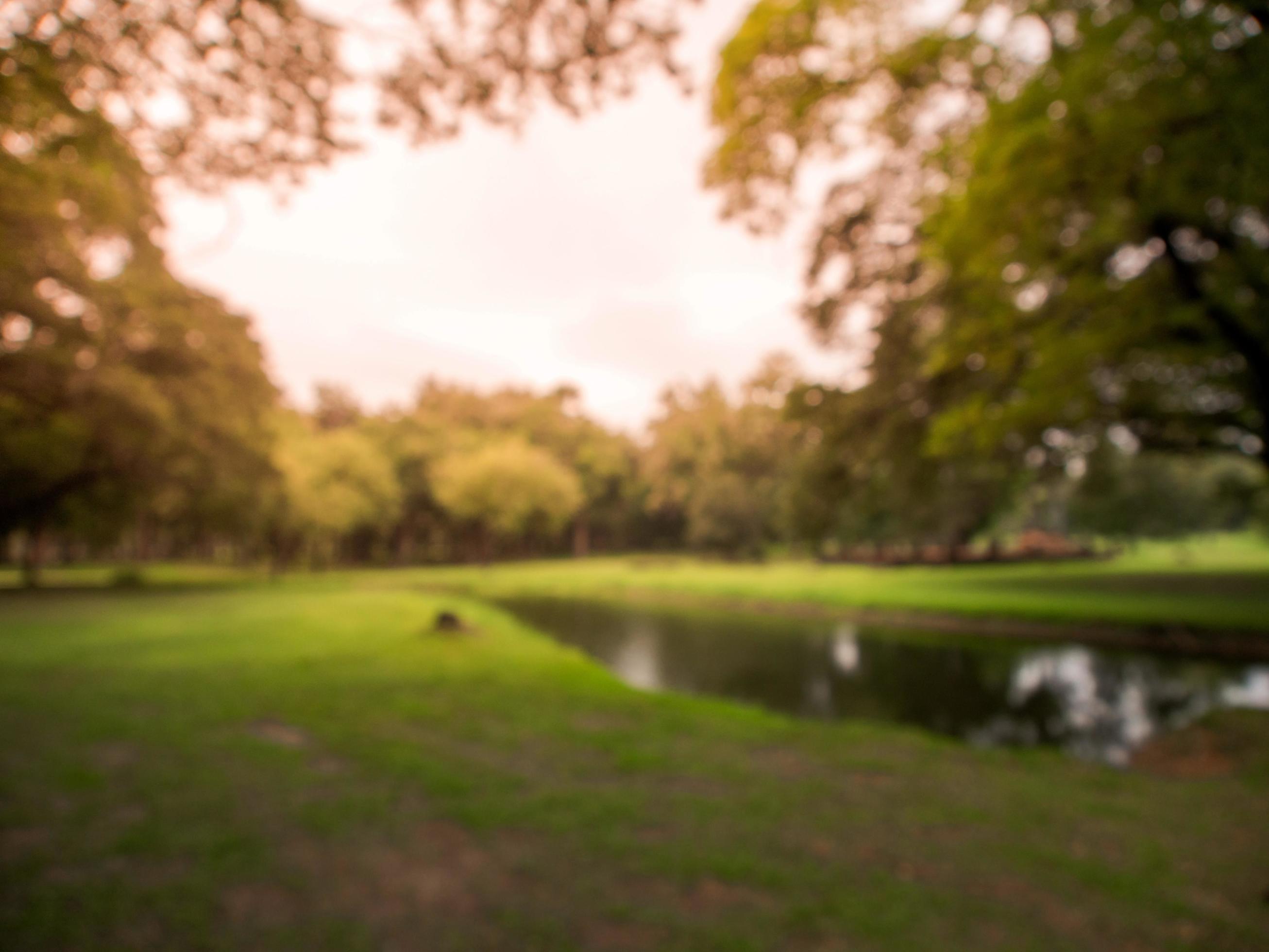 Blurred image natural green park background wallpaper Stock Free