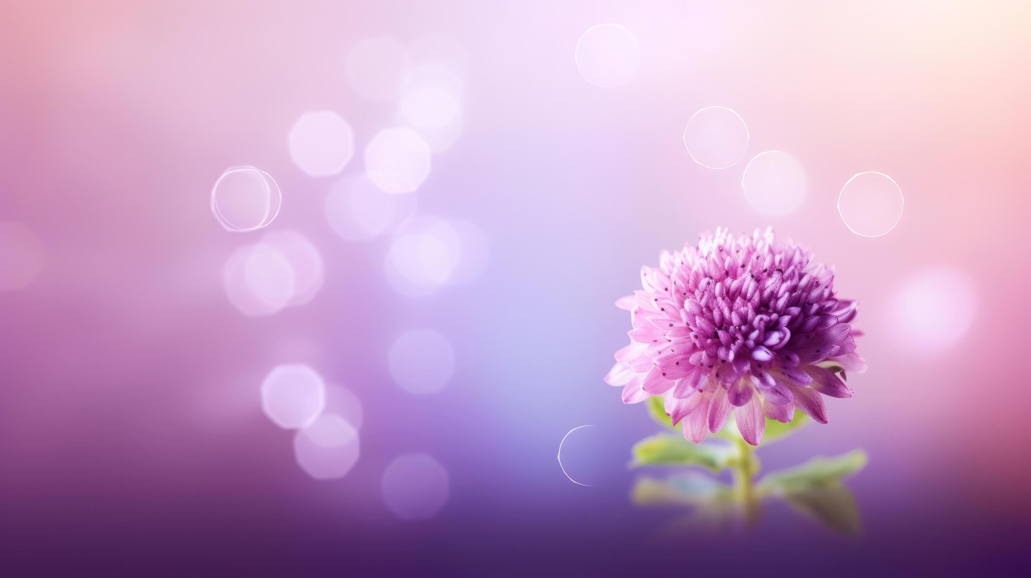 Lilac flower bokeh background. Illustration Stock Free