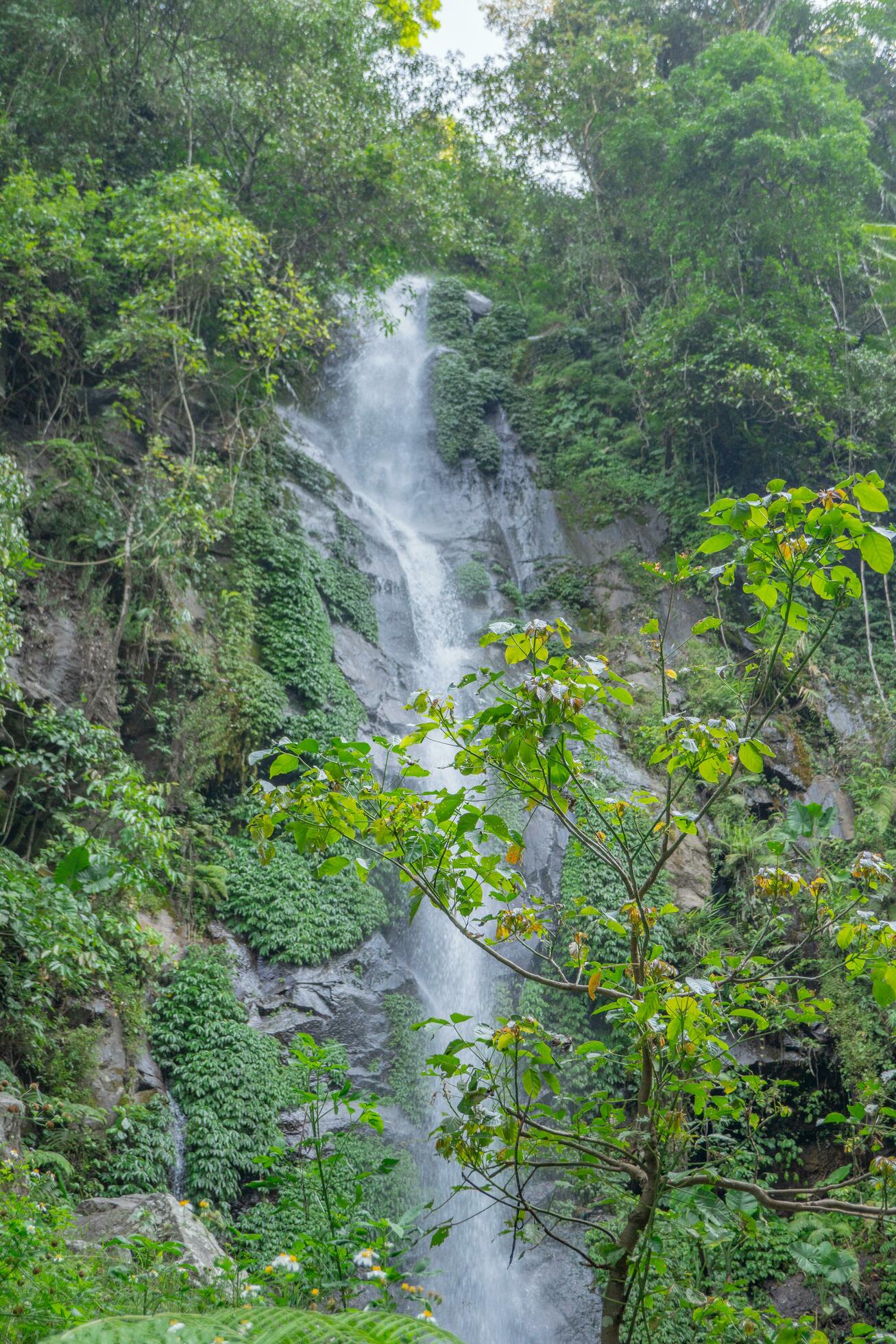 Small water fall on the tropical forest when rain season. The photo is suitable to use for adventure content media, nature poster and forest background. Stock Free