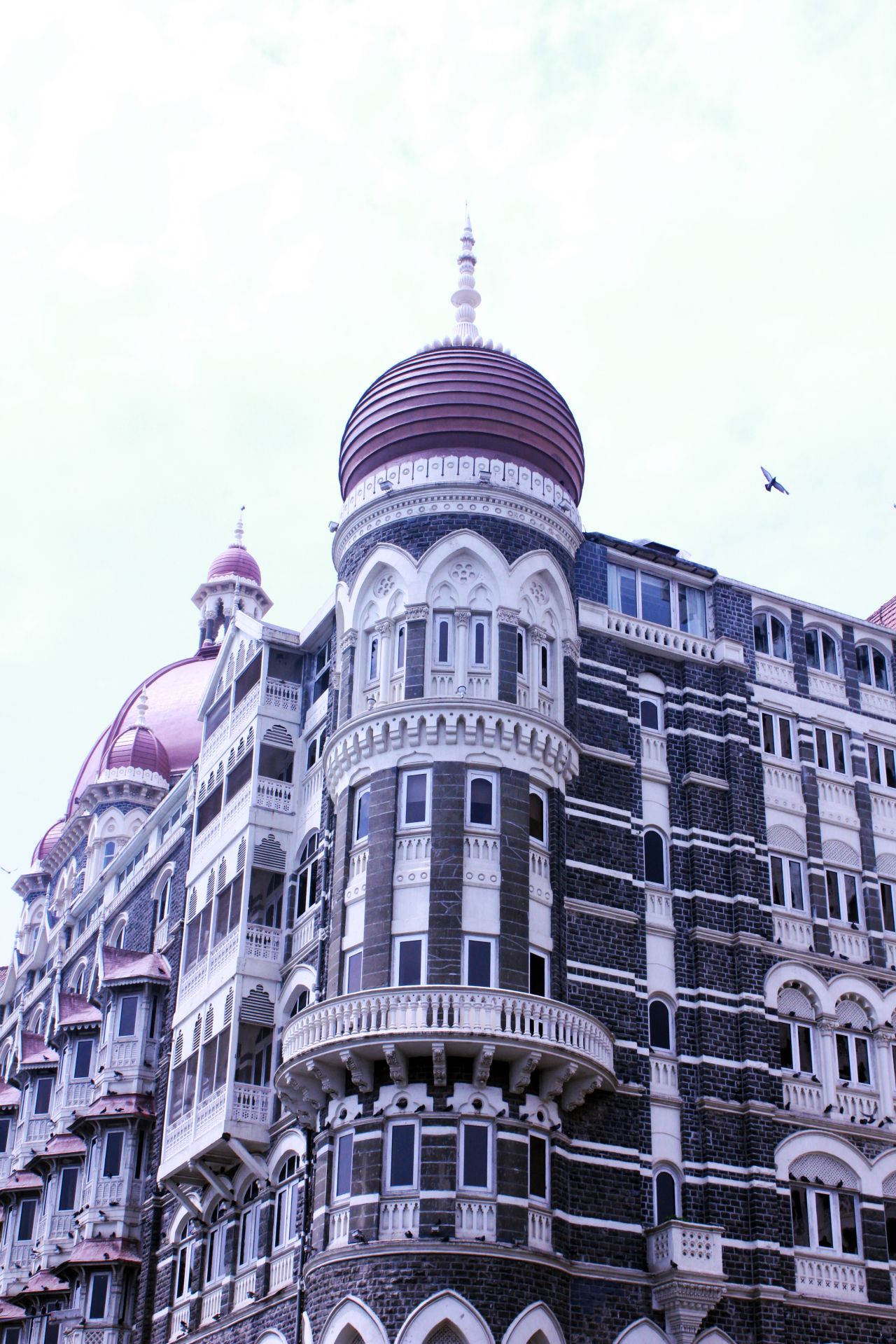 
									Taj Mahal Hotel Mumbai Stock Free