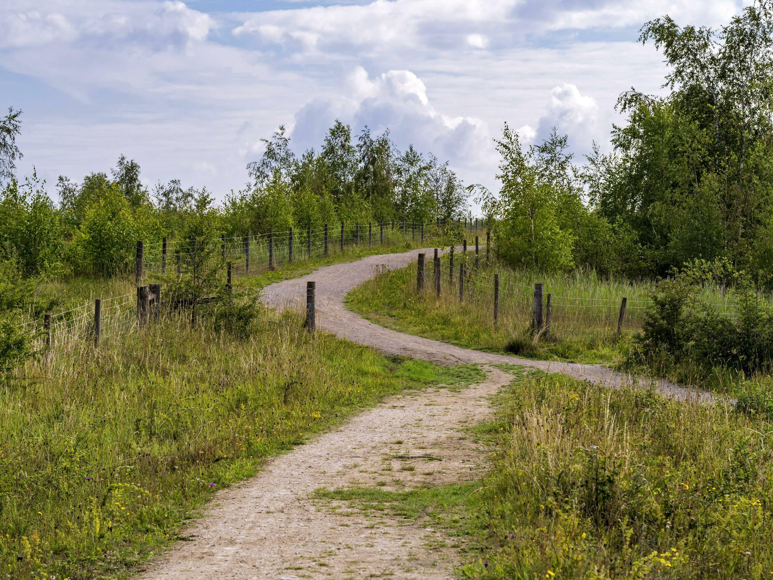 Walking trail in Fairburn Ings Nature Reserve, West Yorkshire, England Stock Free