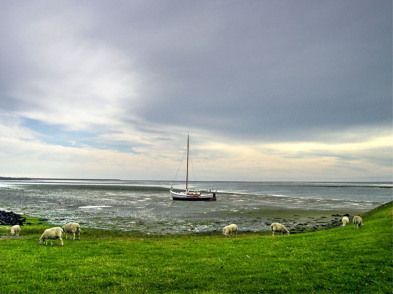 Boat at Texel island Stock Free