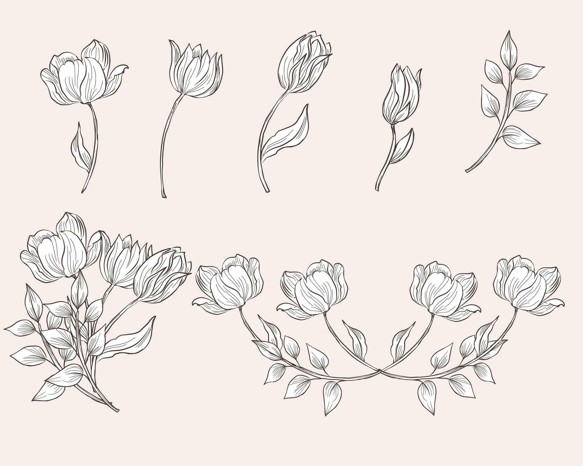 Hand Drawn Vintage Tulip Flower Stock Free