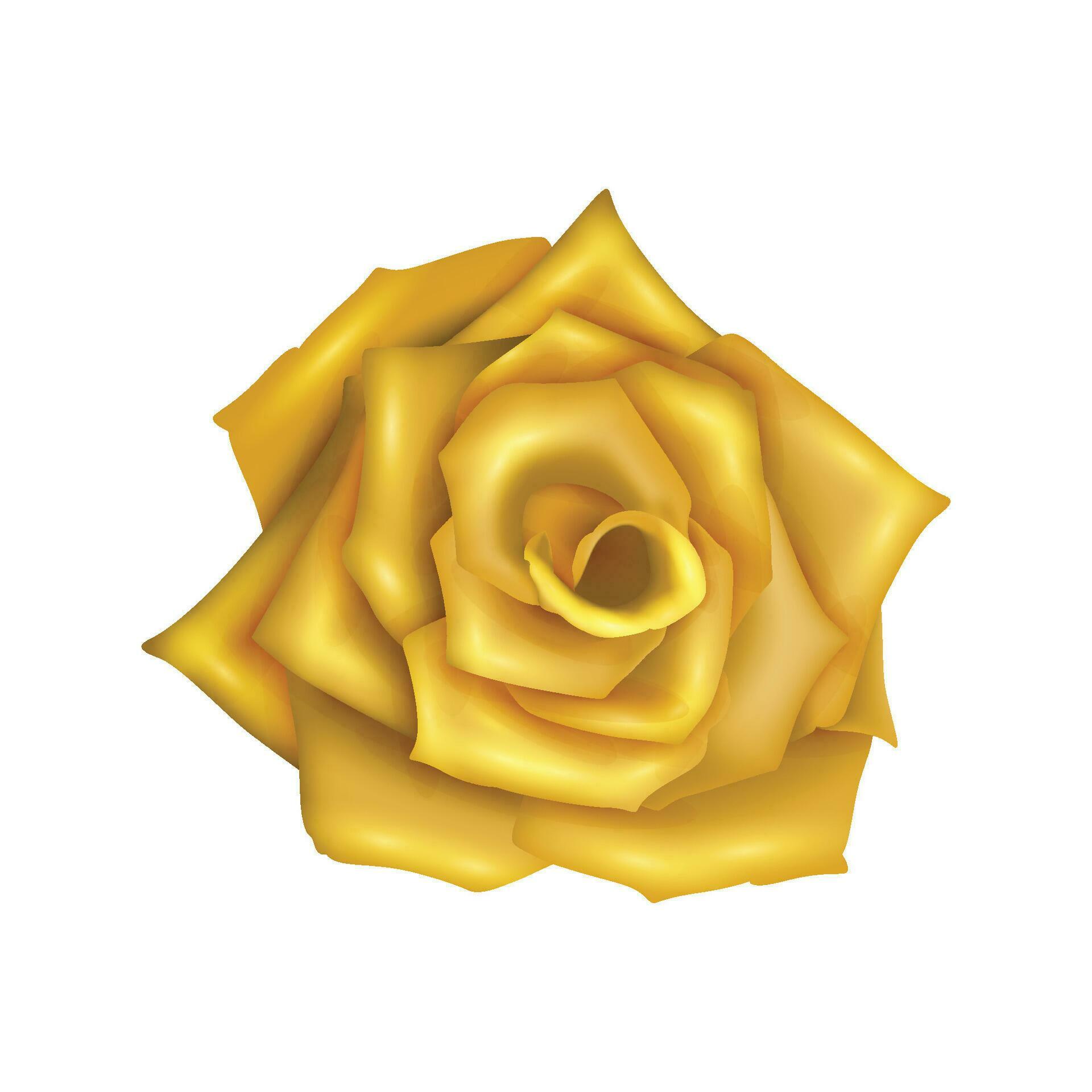 Vector rose realistic with yellow flower isolated Stock Free