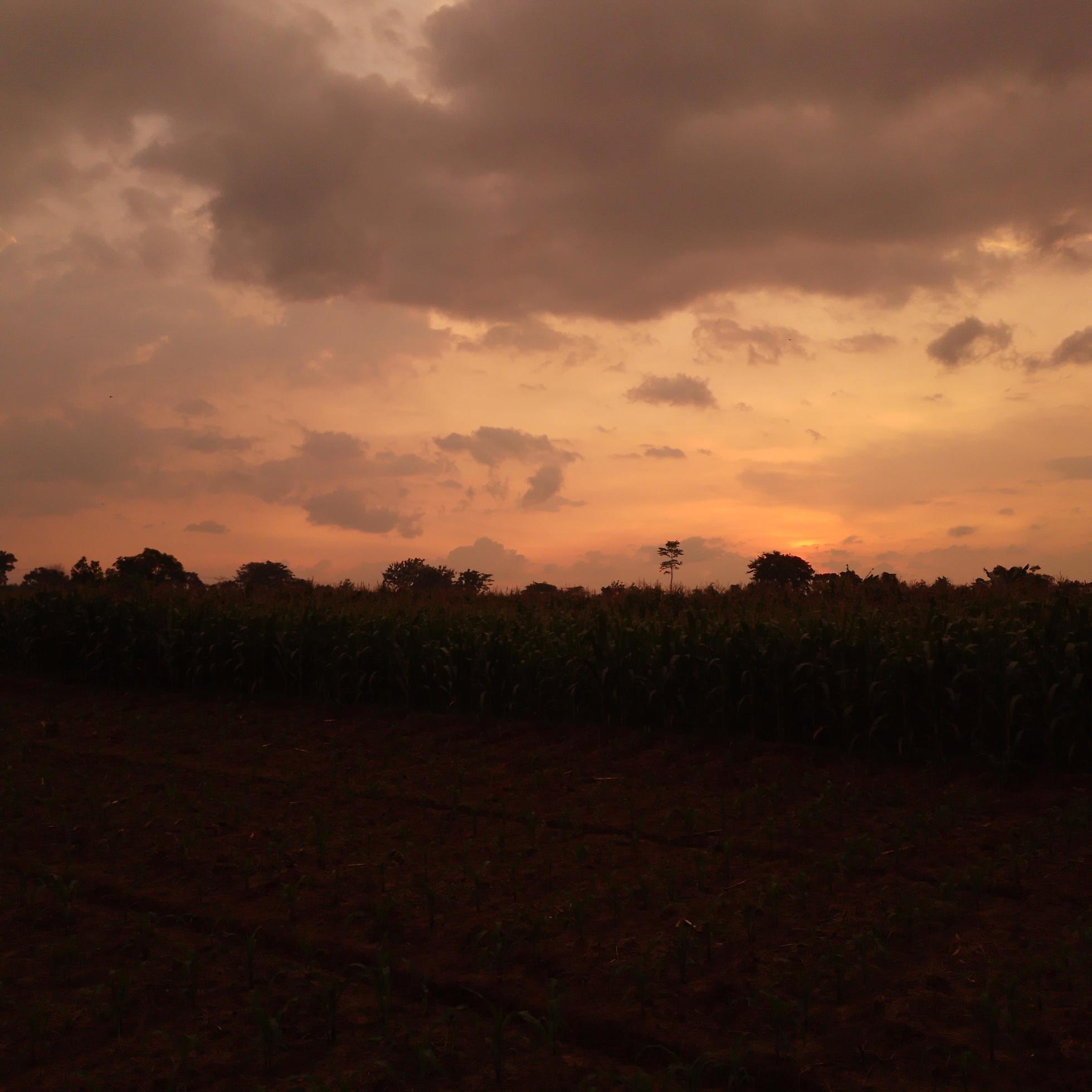 Nature photo at sunset in the countryside Stock Free