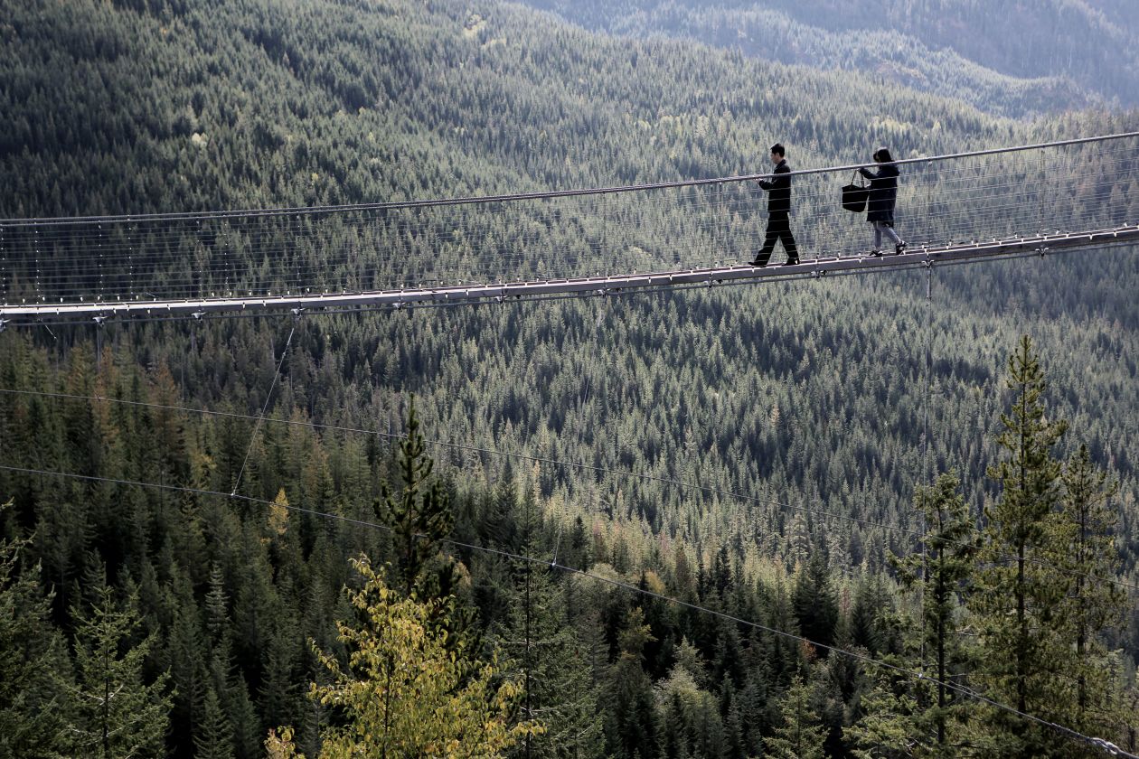 Bridge Over The Forest Stock Free