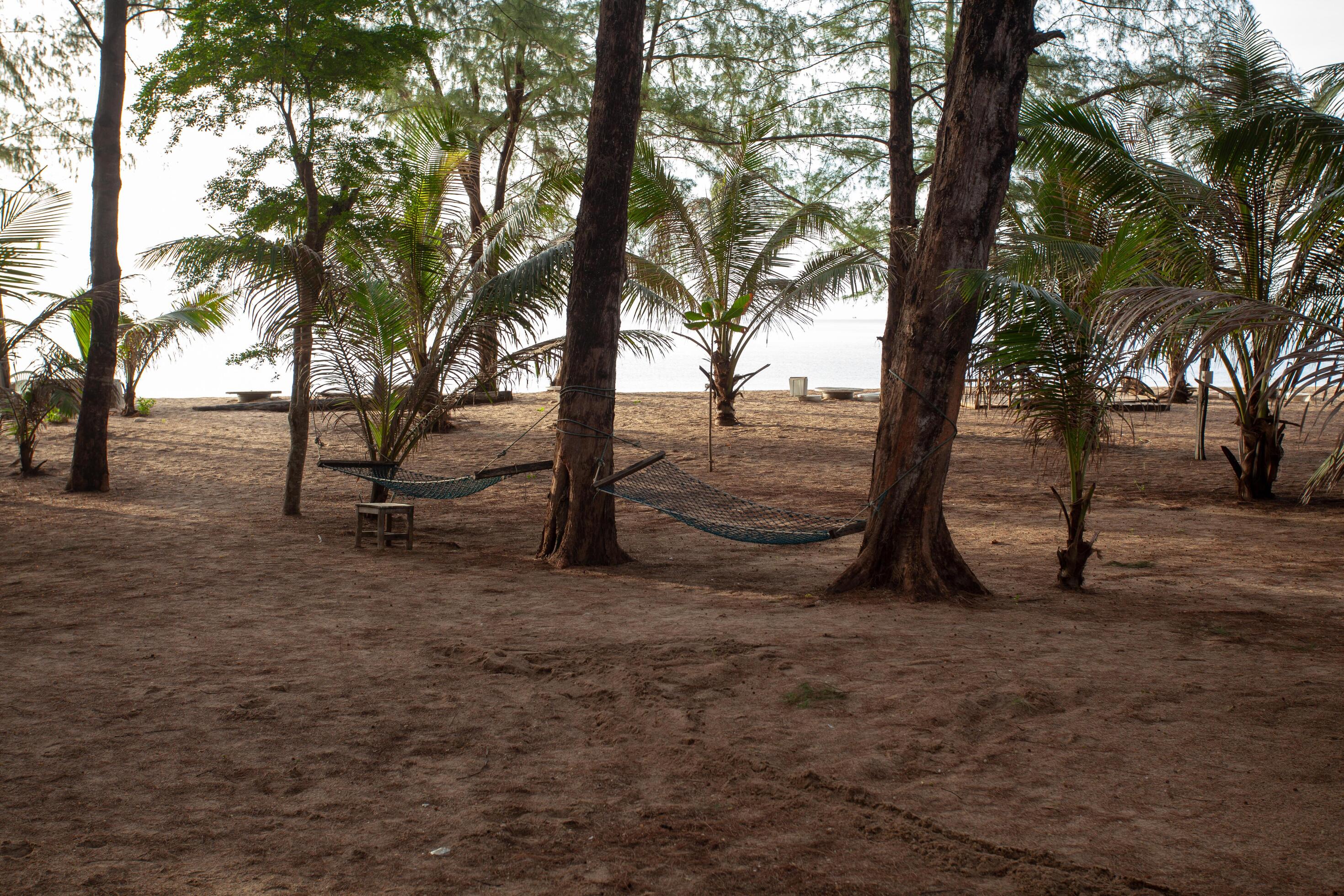 The netted hammock sits on a sandy beach surrounded by coconut trees. Stock Free