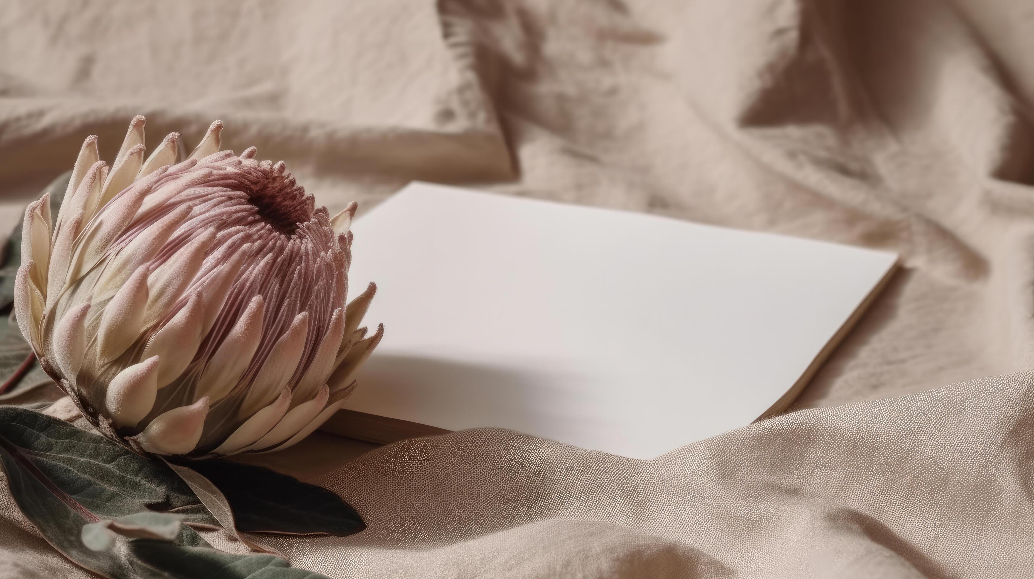 Dried protea flower with blank paper card. Luxury Background. Illustration Stock Free