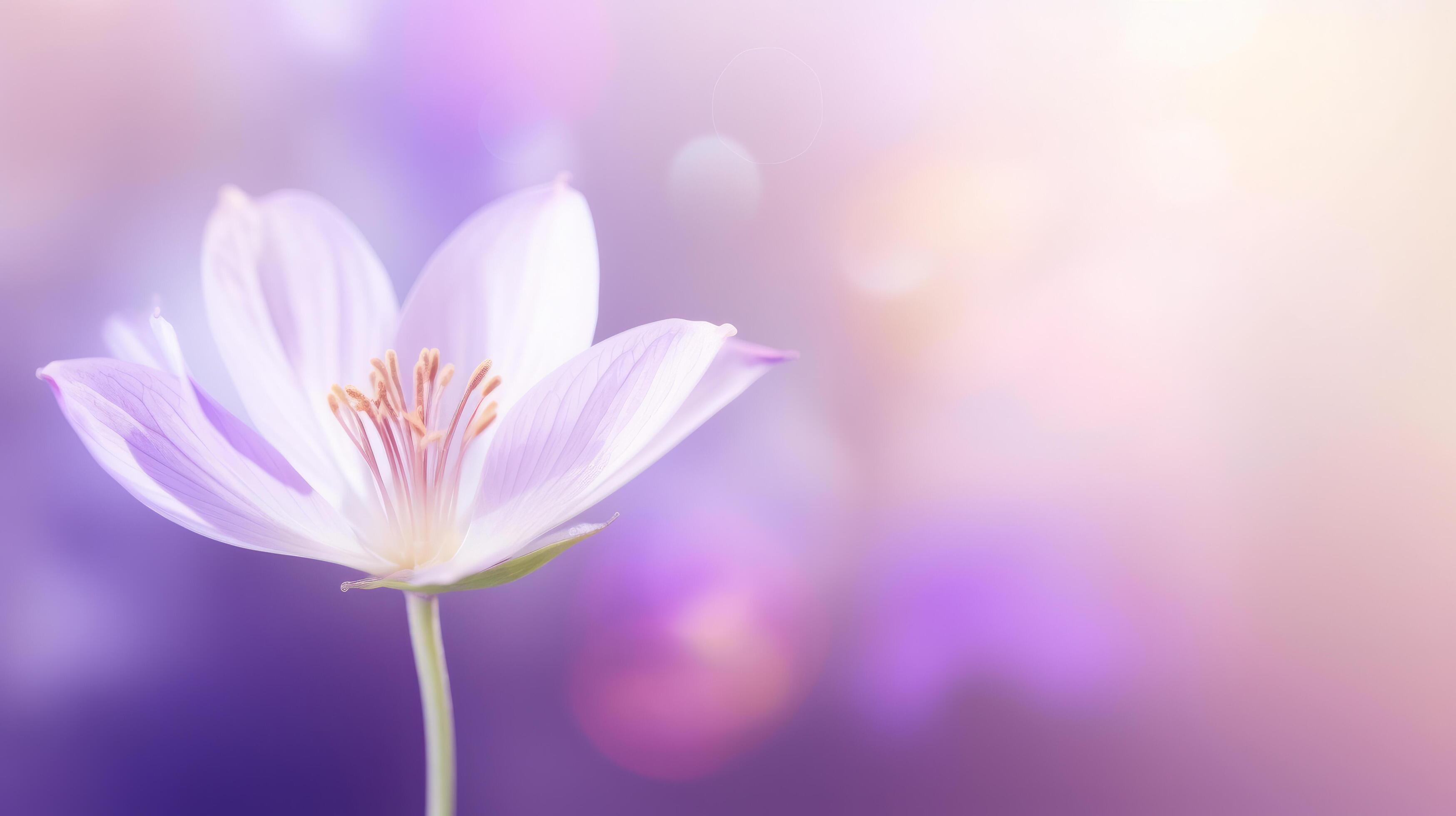 Violet flower background. Illustration Stock Free