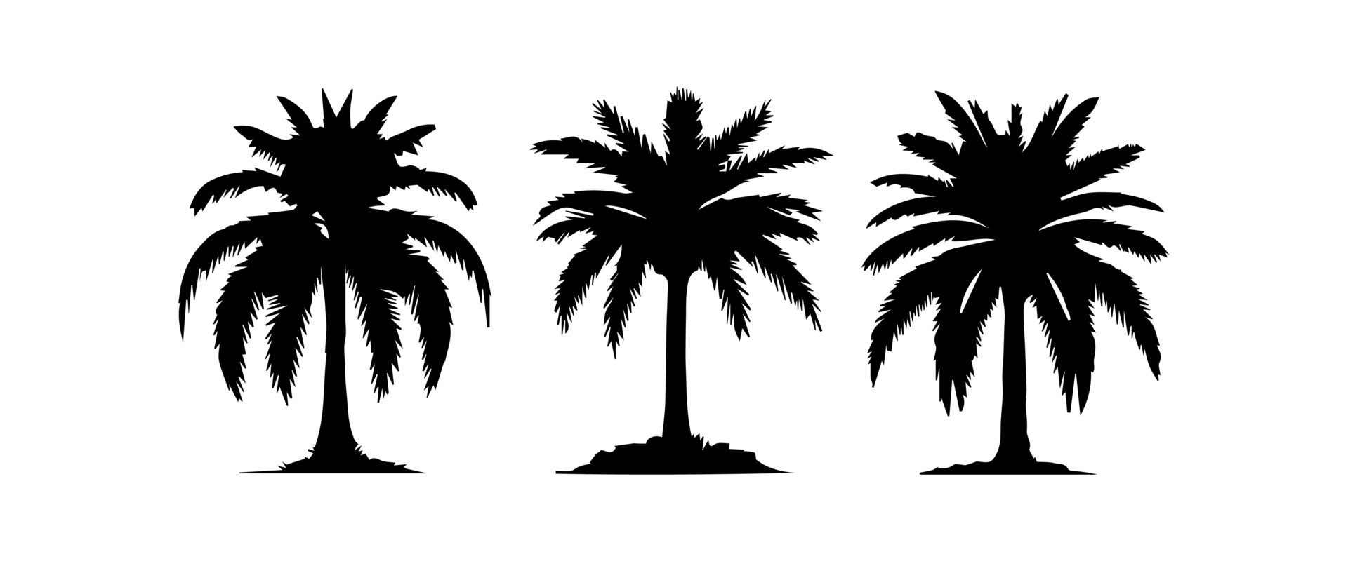 Black palm trees set isolated on white background. Palm silhouettes. Design of palm trees for posters, banners and promotional items. illustration Free Vector