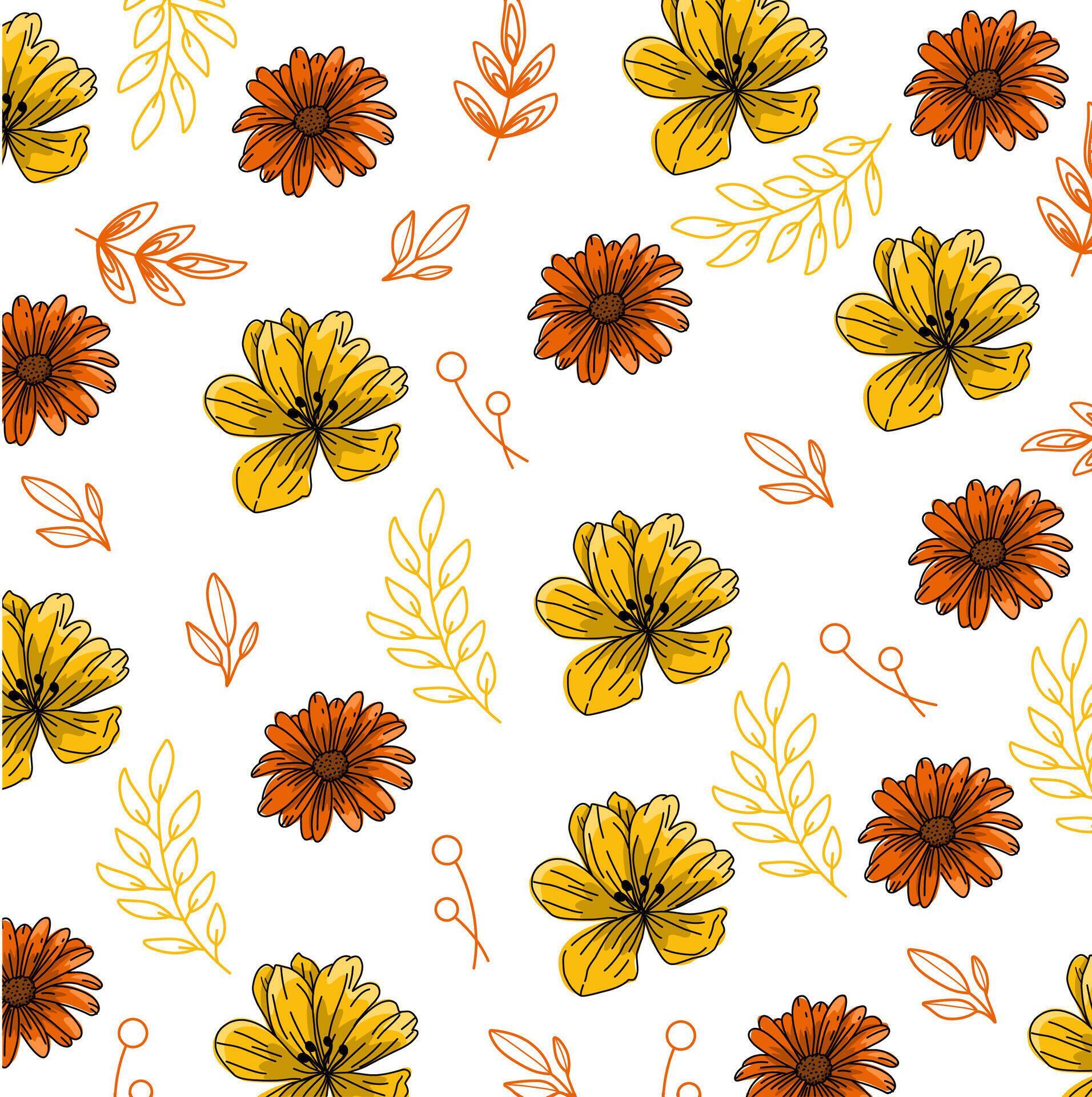 Orange and yellow daisy flower motif wallpaper on a white background Stock Free