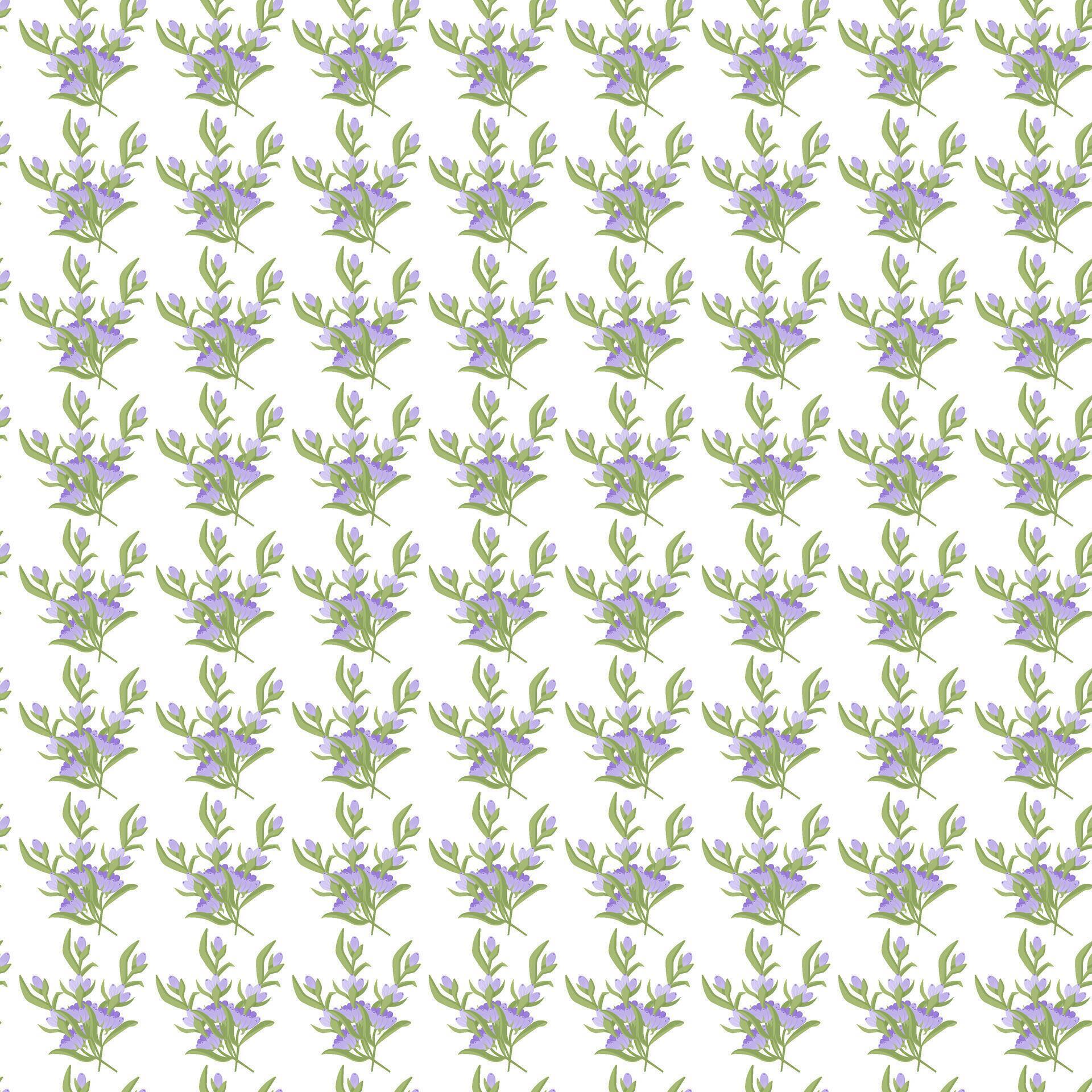 A sprig of lavender. Purple flower. Seamless pattern. illustration. Stock Free