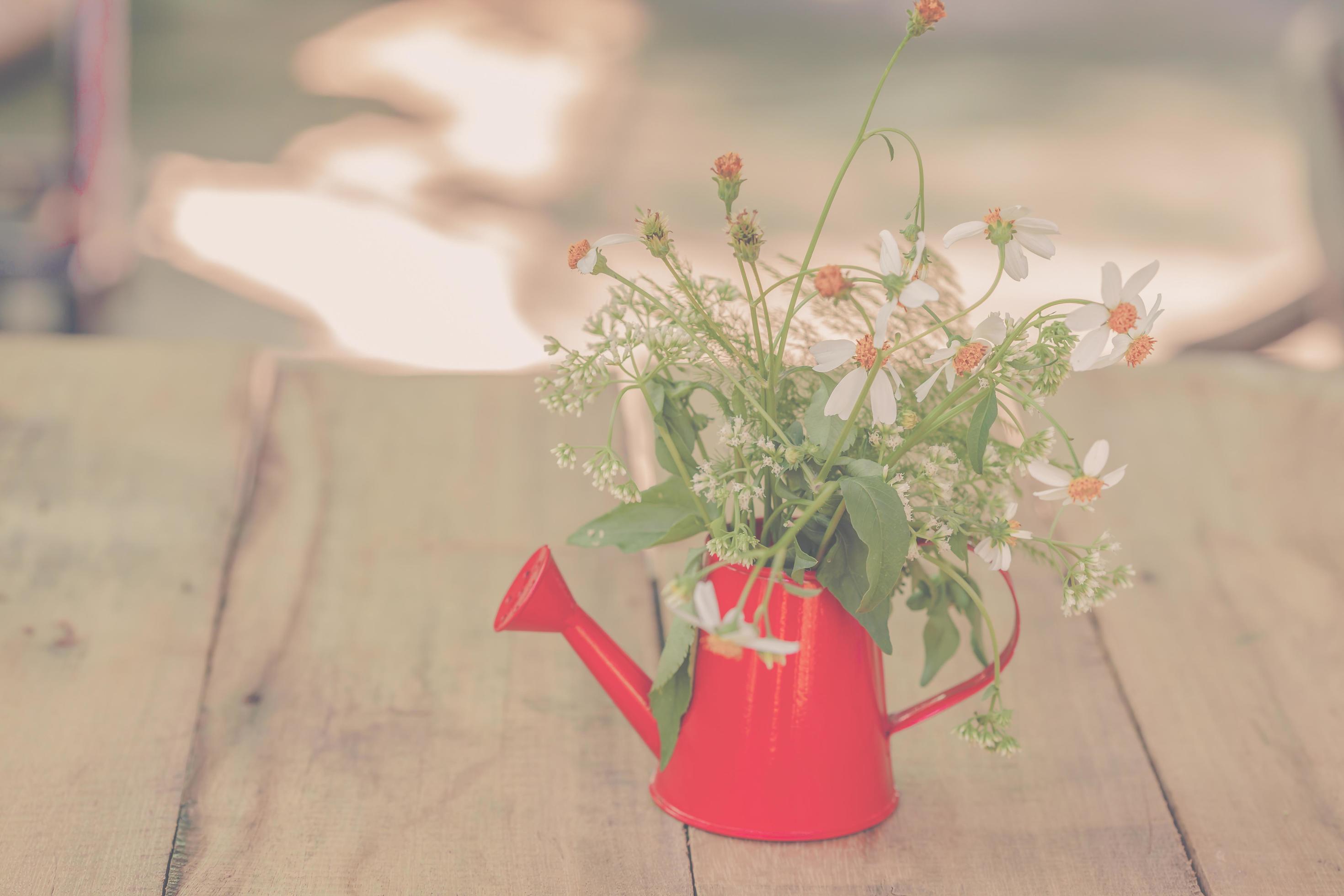 Decoration with small flowers in a red watercan Stock Free