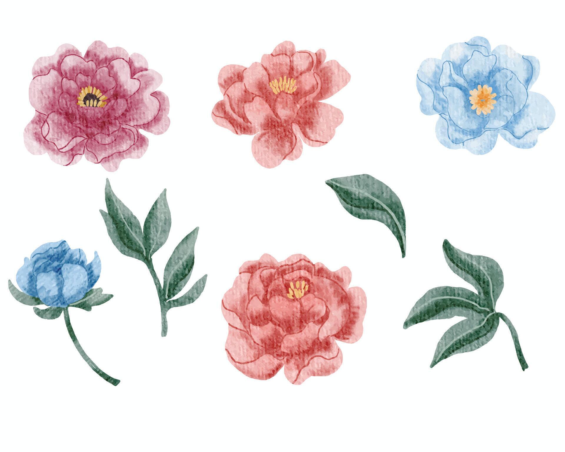 Blue, Pink, and Red Rose Watercolor Flower Stock Free