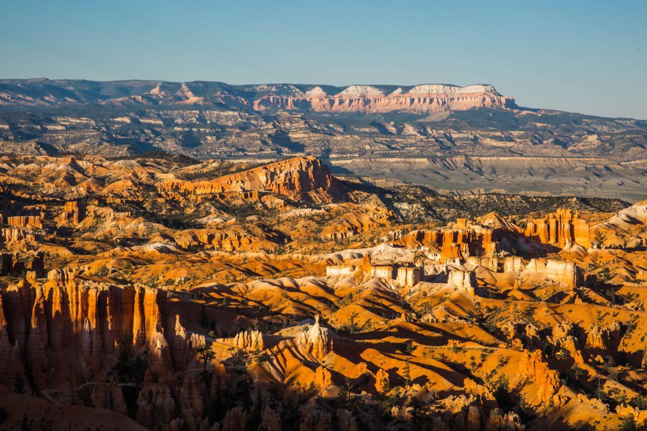 Bryce canyon Stock Free