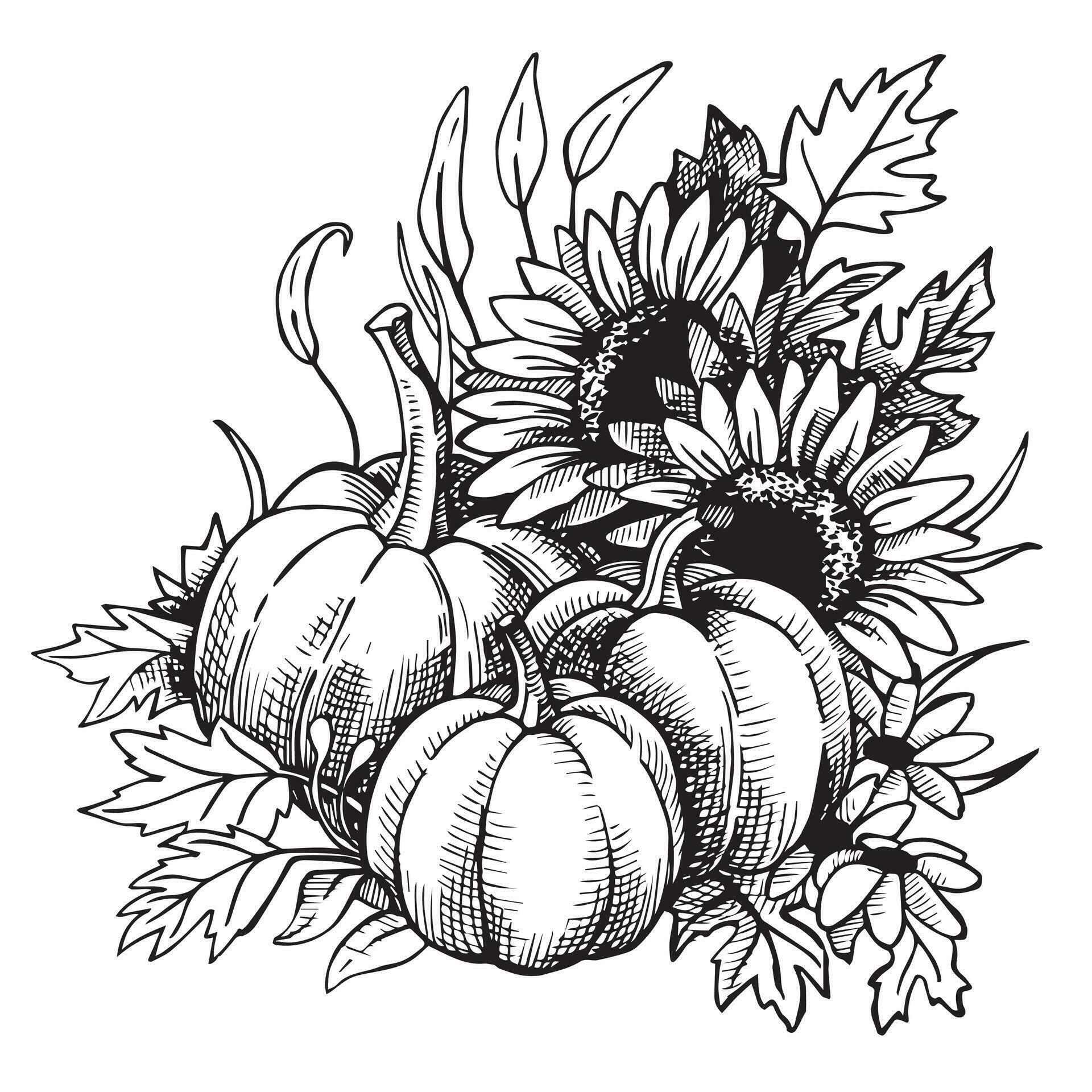 autumn composition of pumpkins and sunflower flowers for Thanksgiving, line art in sketch style, engraving. vector black and white illustration Stock Free