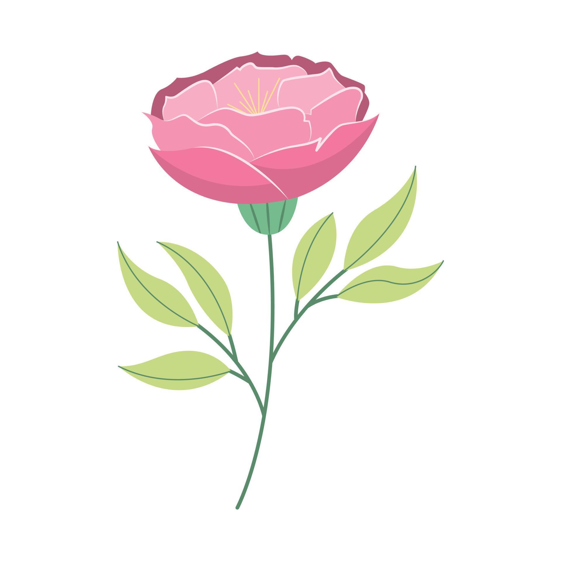 Flat hand drawn pink rose flower illustration isolated on white background Stock Free