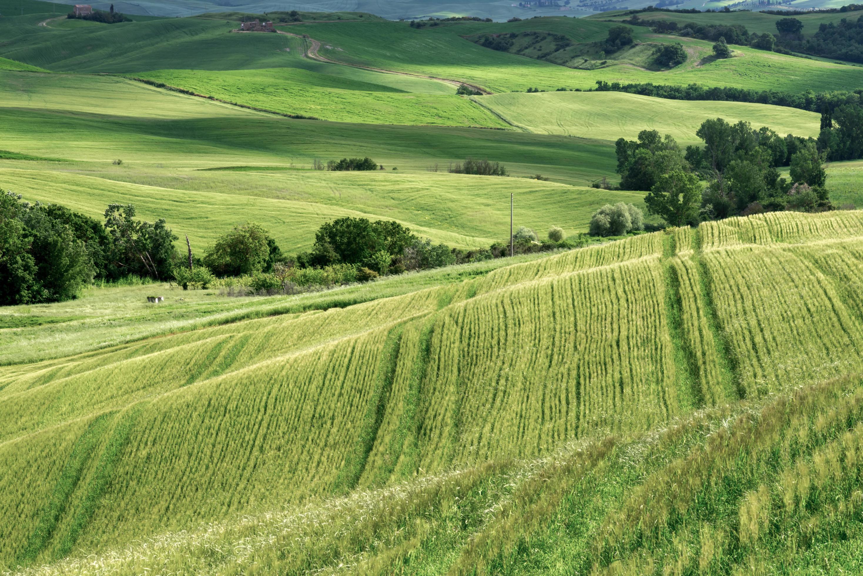 Farmland in Val d’Orcia Tuscany Stock Free