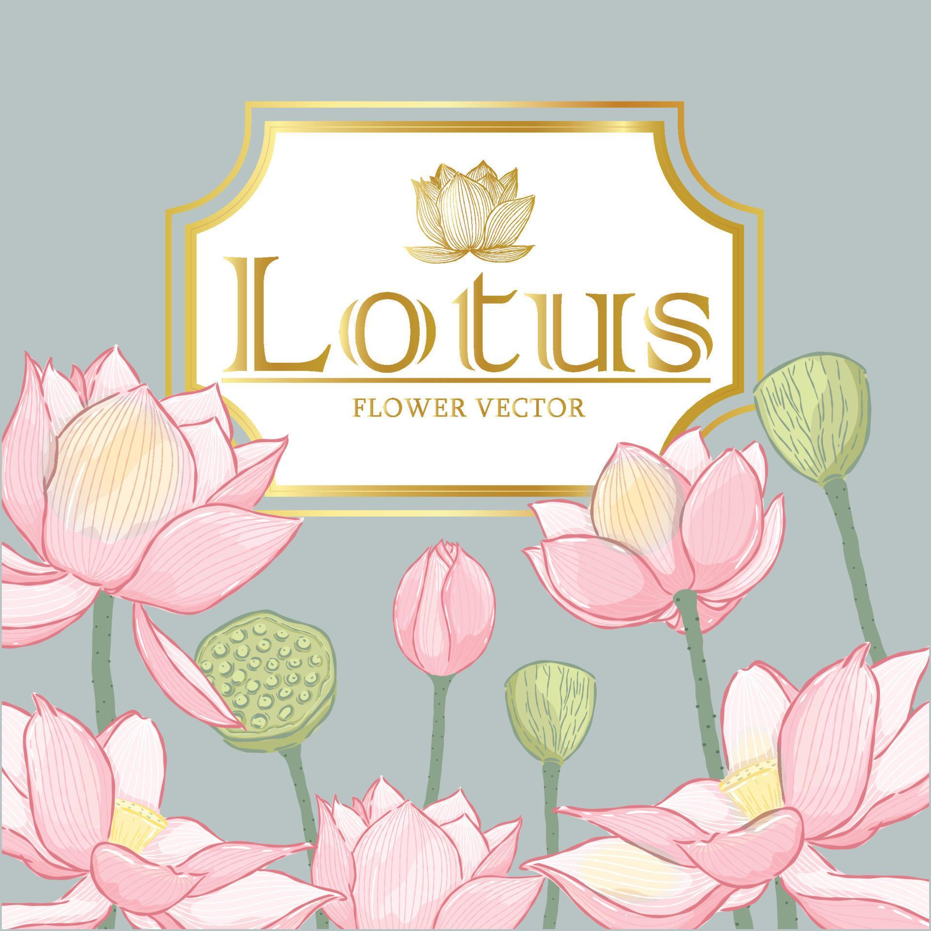 Vector hand drawn lotus flower and gold frame Stock Free