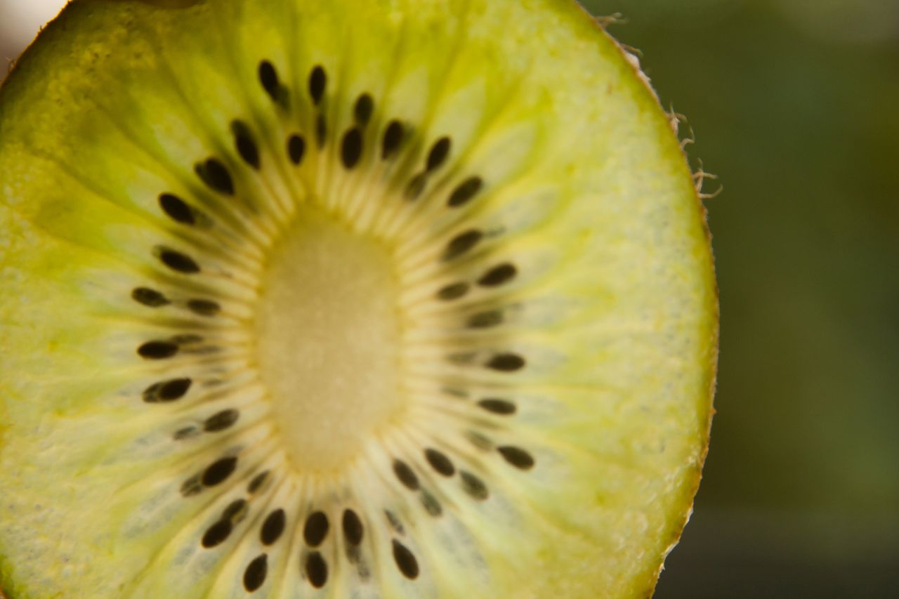 Kiwi Cut Section Close Stock Free