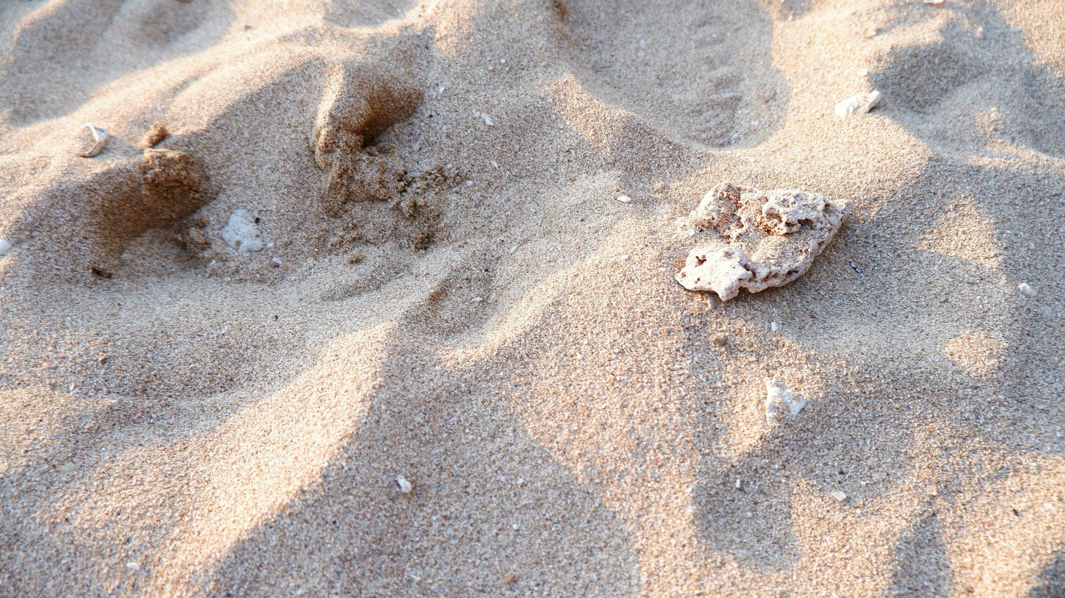 Full frame shot. Close up sand texture on beach in summer. Nature of sand on the beach. White beach sand of texture Stock Free