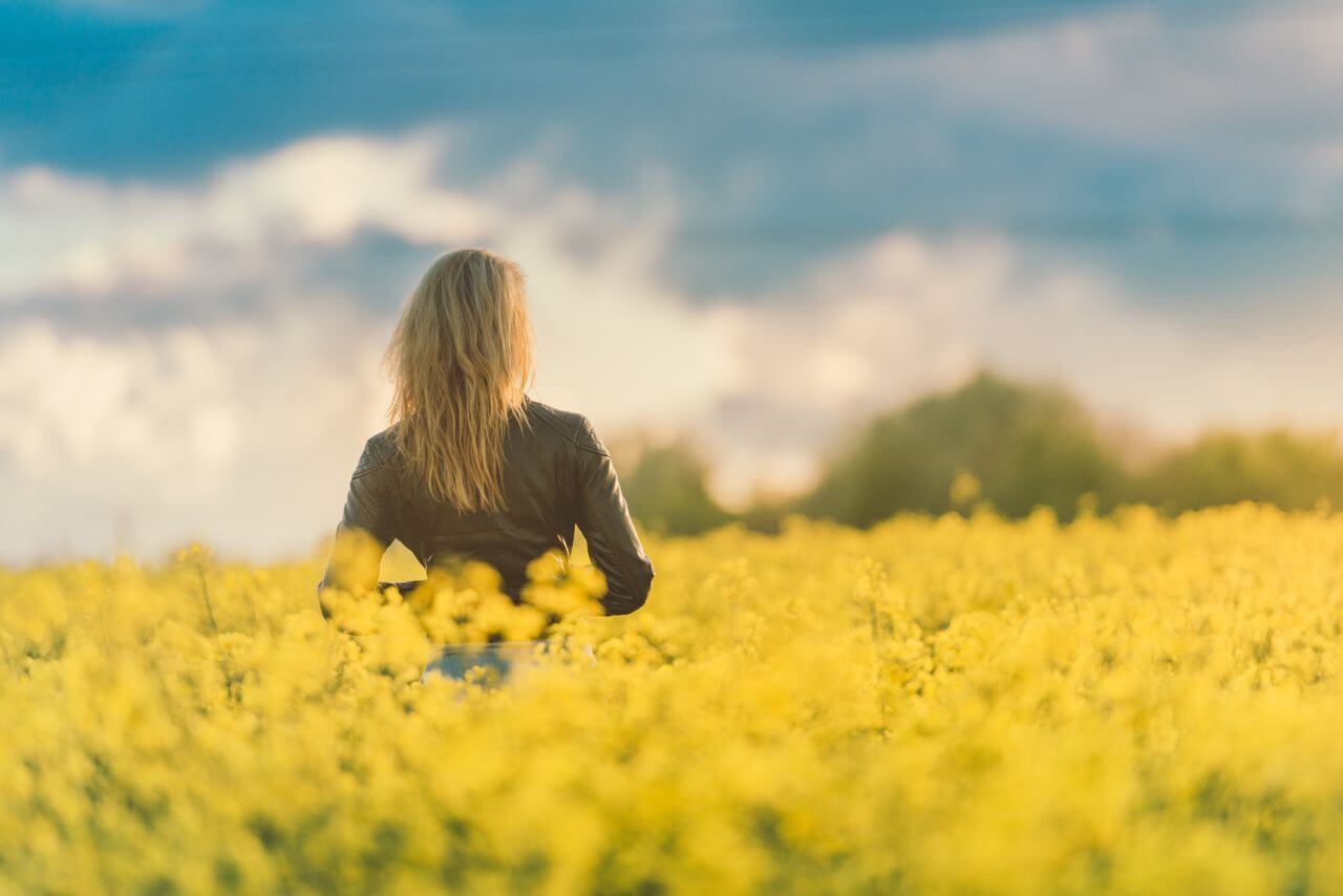 Woman in Yellow Field at Sunset Stock Free