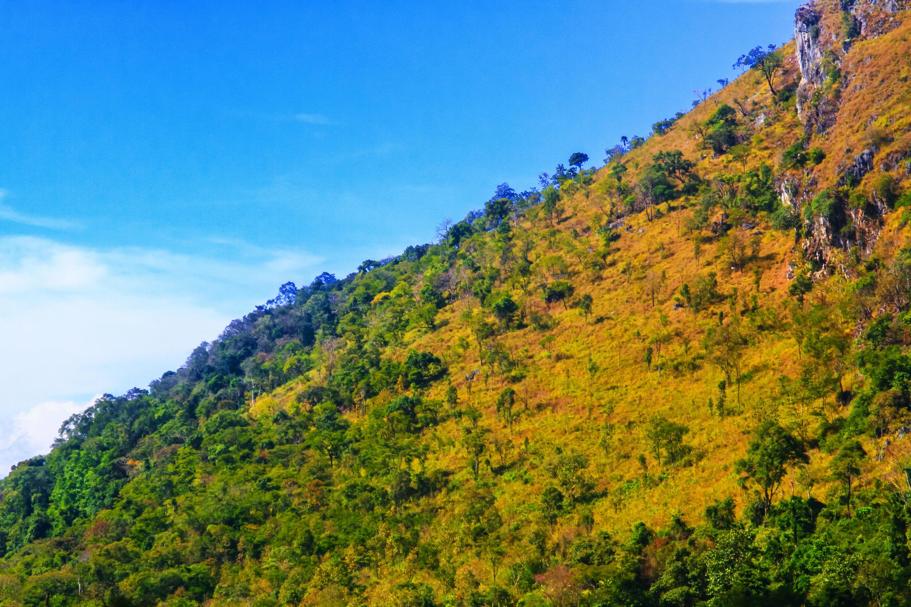 Beautiful Landscape of rocky Limestone Mountain and green forest with blu sky at Chiang doa national park in Chiangmai, Thailand Stock Free