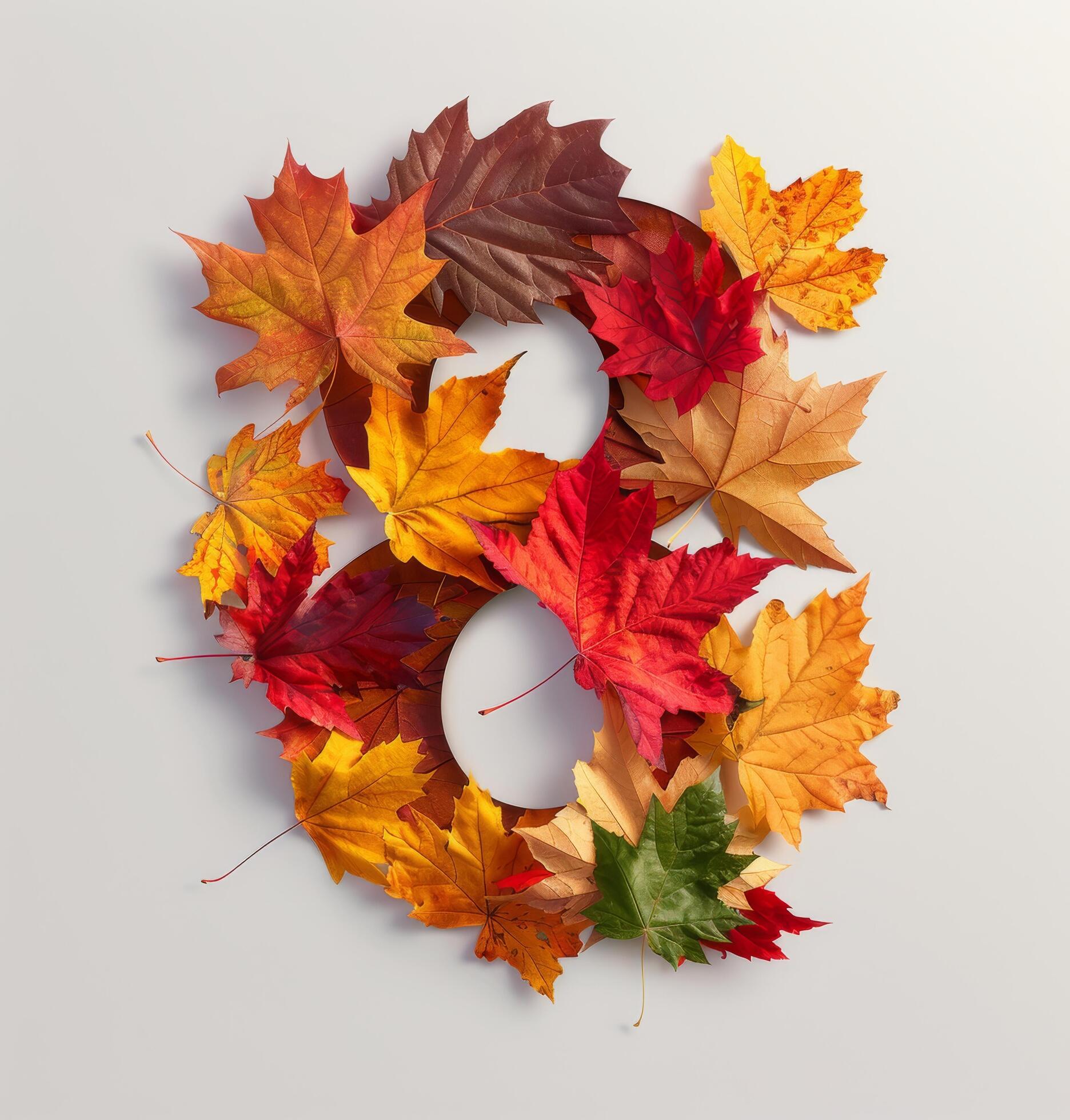 Colorful Autumn Leaves Formed Into the Number Eight on White Background Stock Free