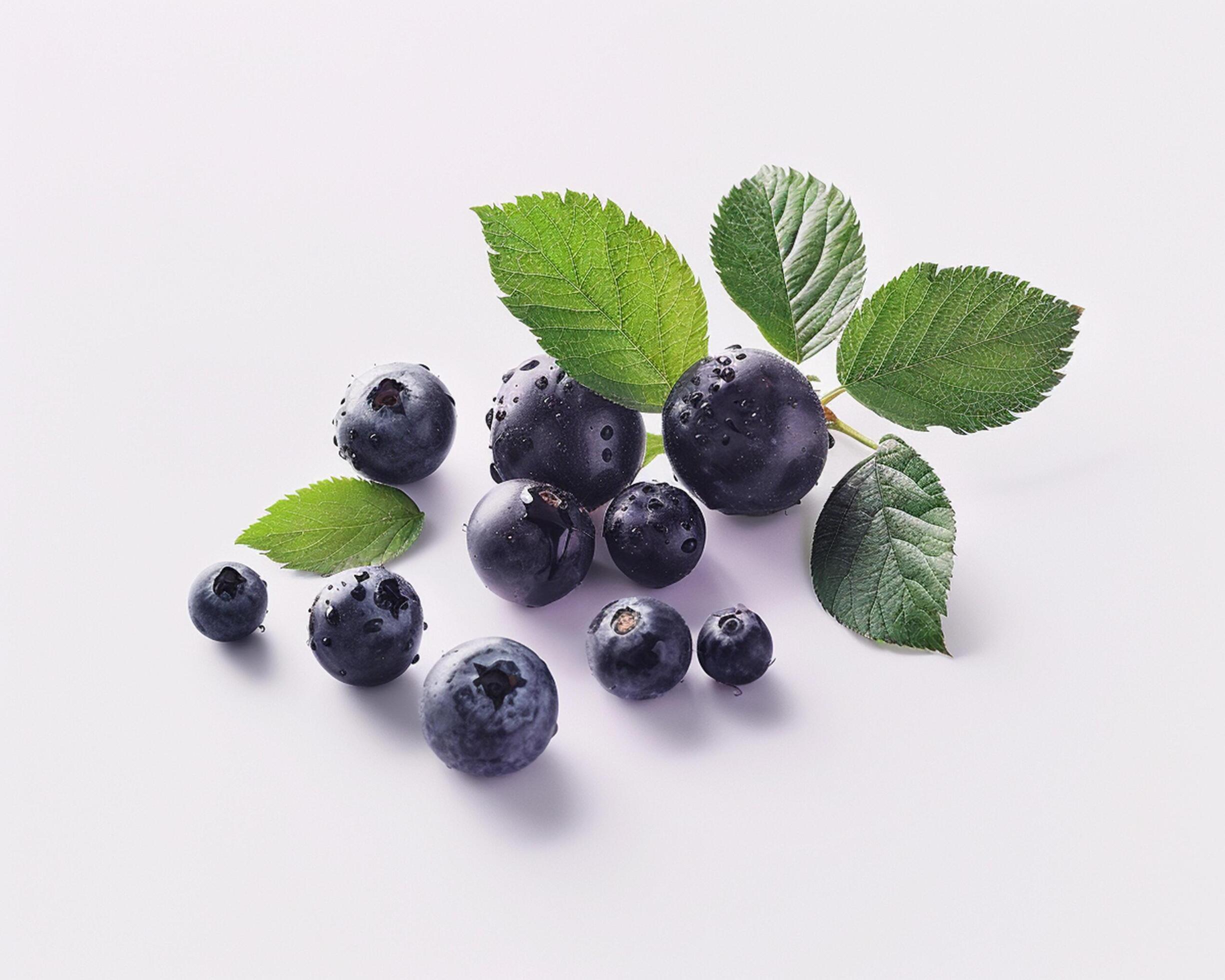 blueberries with leaves on white background Stock Free