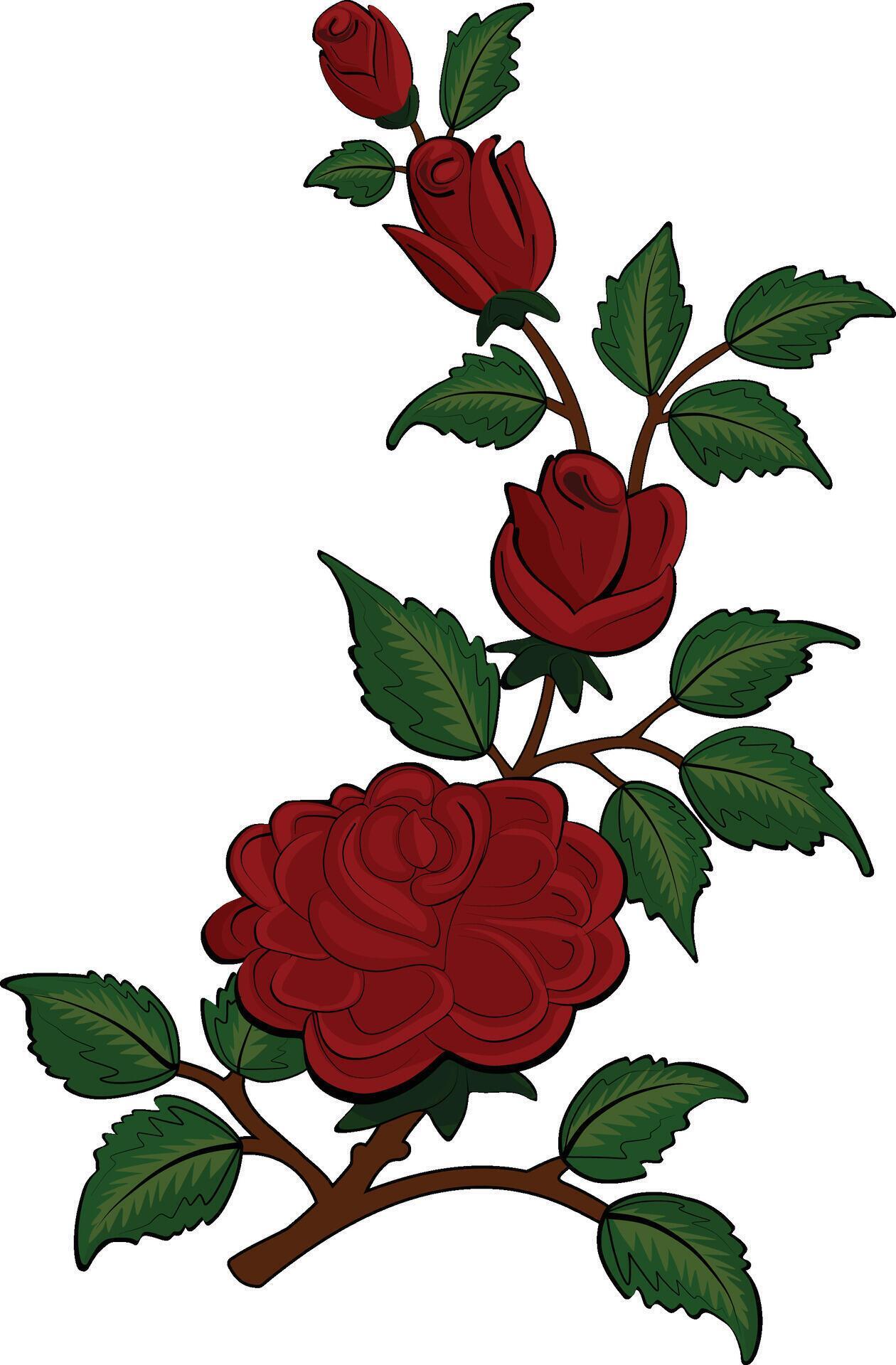 Illustration of Rose Flower Bunch with Rose Plant Stock Free