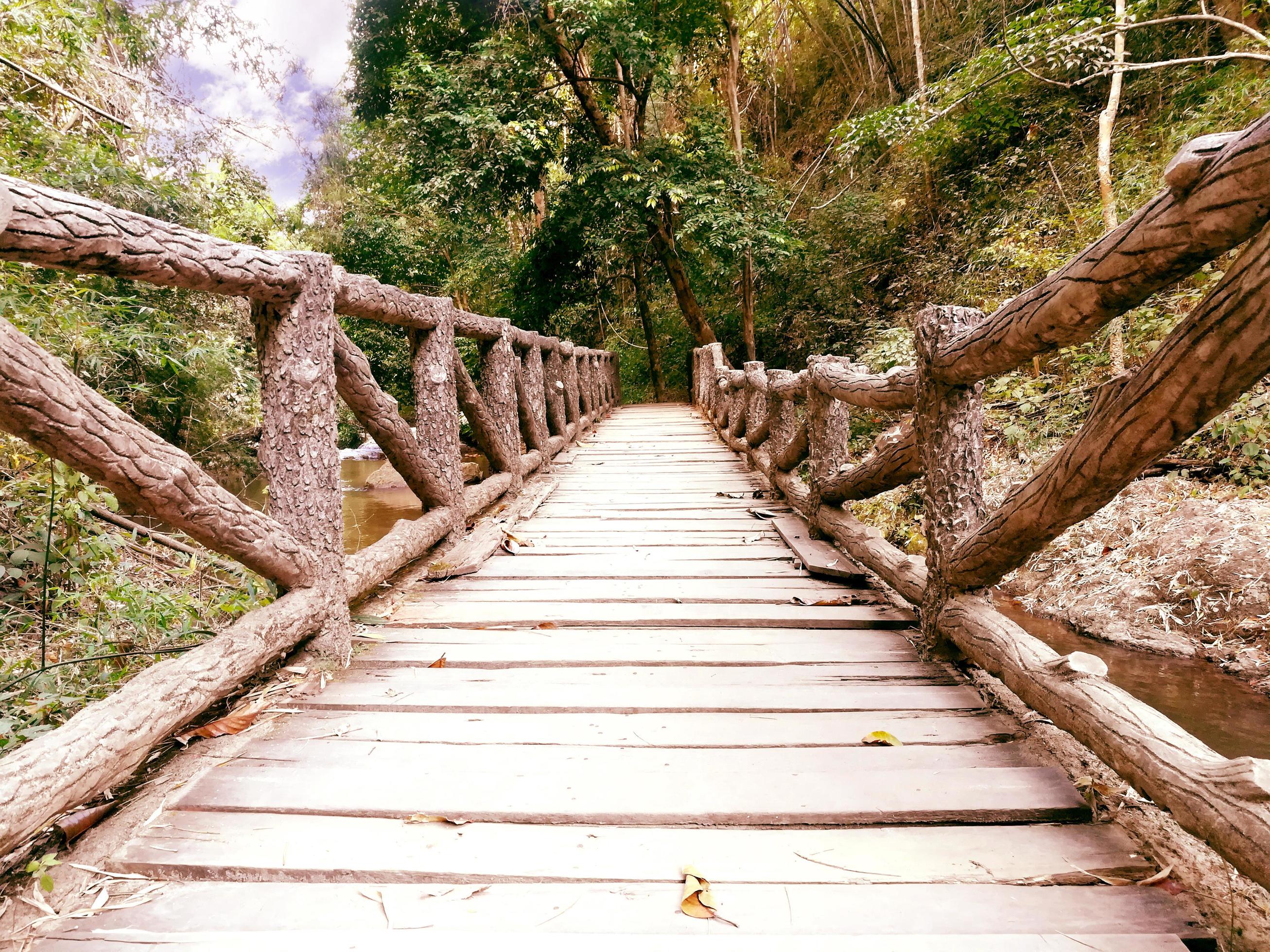 closeup wooden bridge in a natural park Stock Free