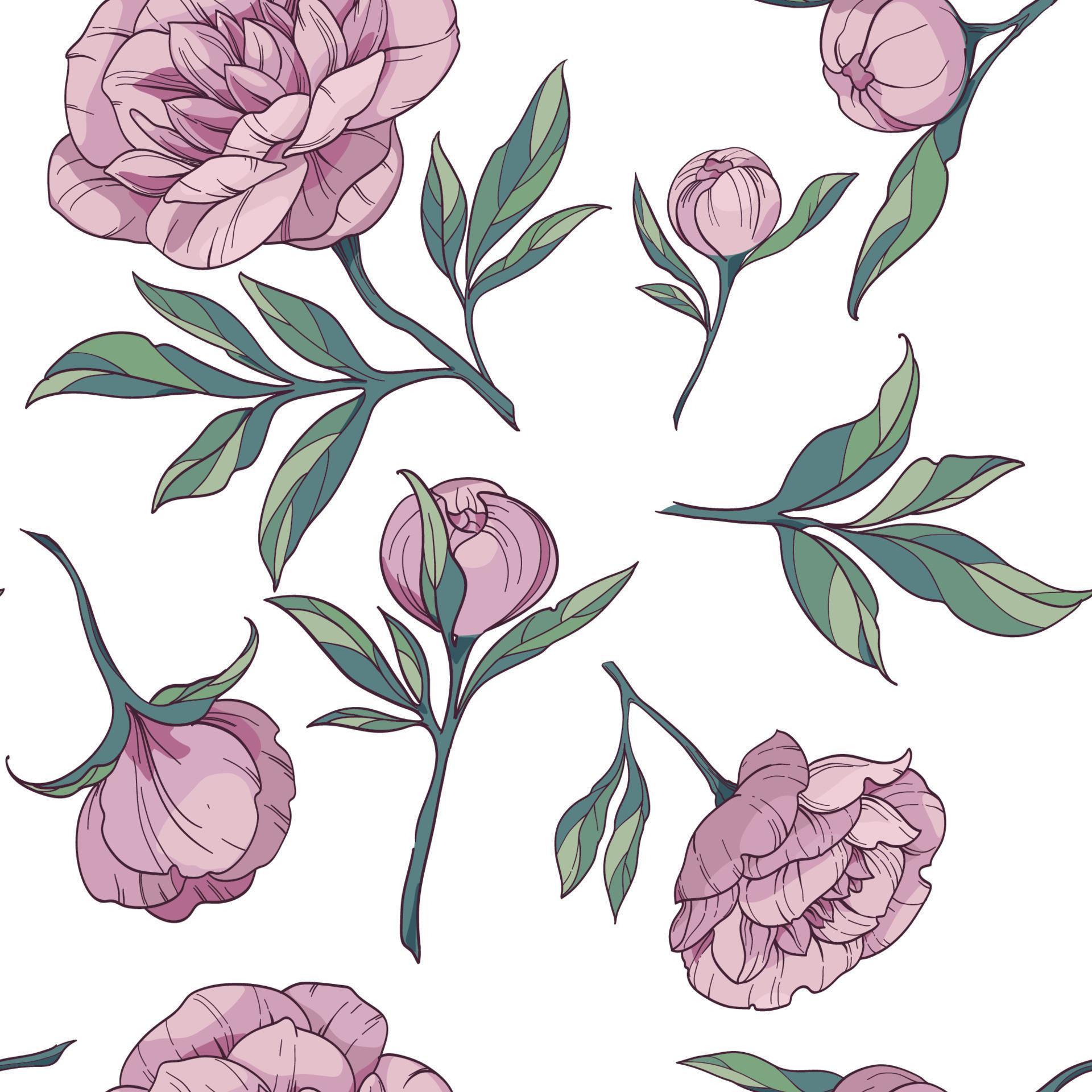 seamless floral vector pattern with pink peonies. flowers and buds with green leaves on a white background. Stock Free