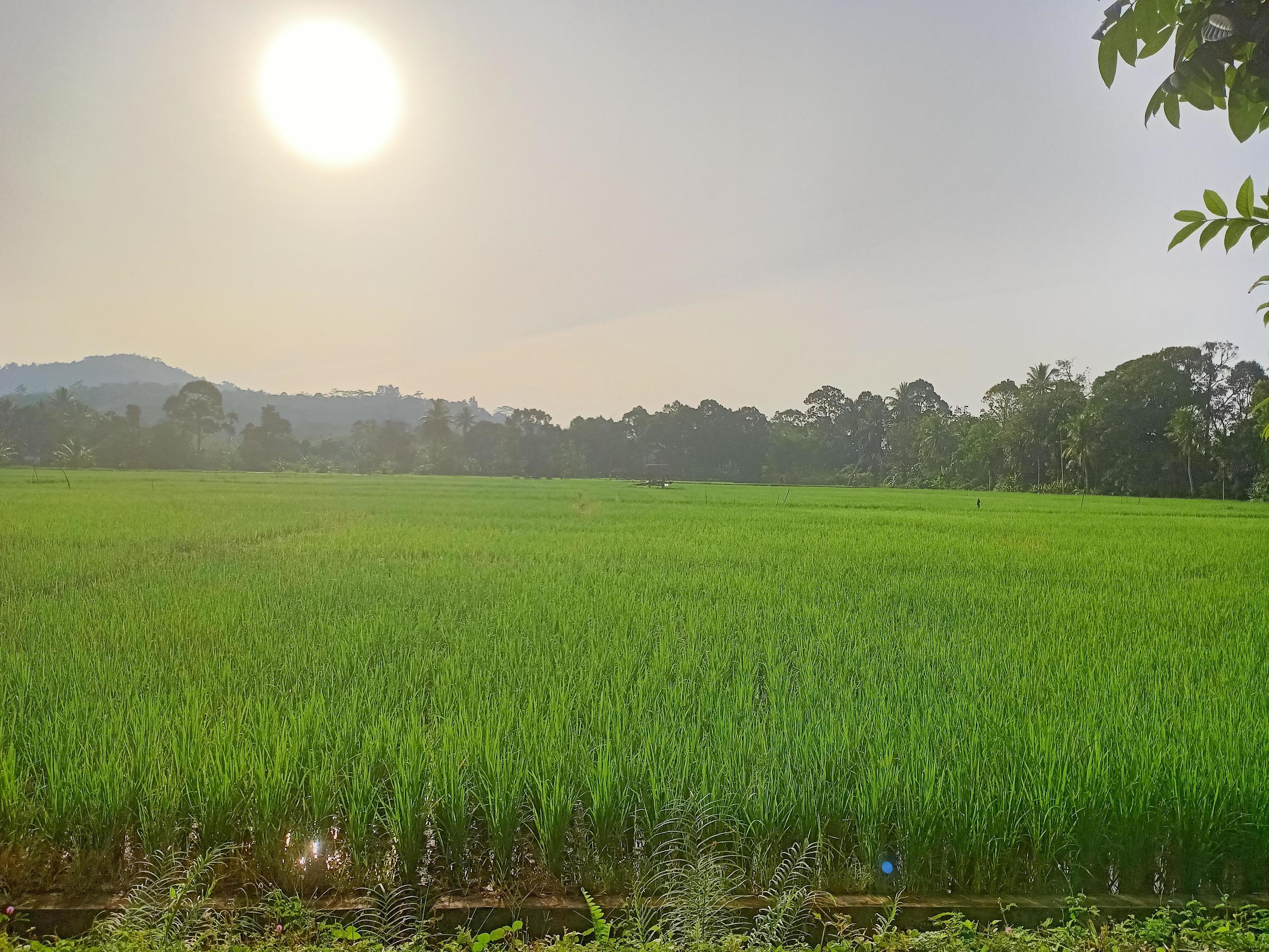 Beautiful natural scenery during the day, the sky is blue, the clouds Stock Free