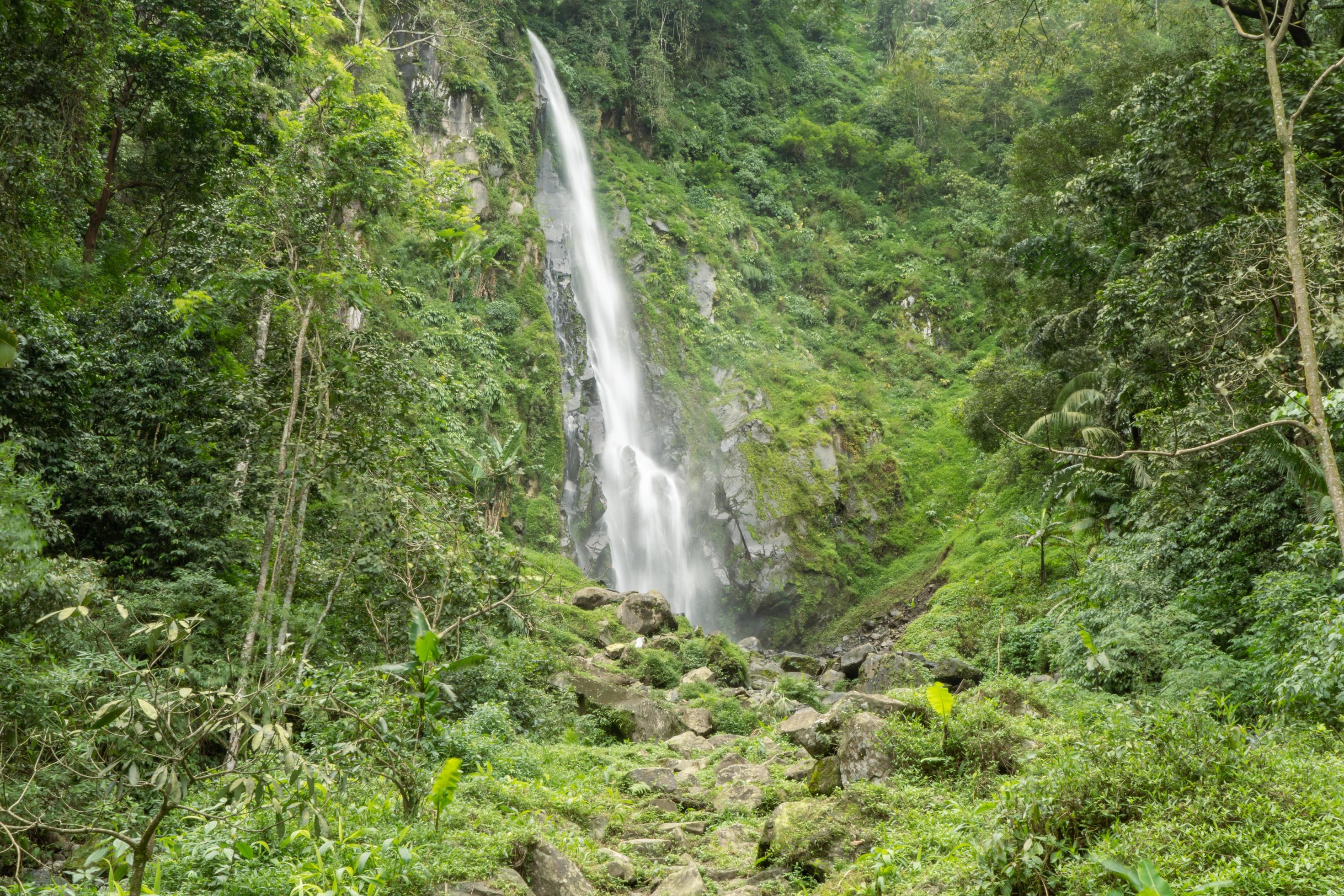 Scenery of single water fall on the tropical forest. The photo is suitable to use for adventure content media, nature poster and forest background. Stock Free