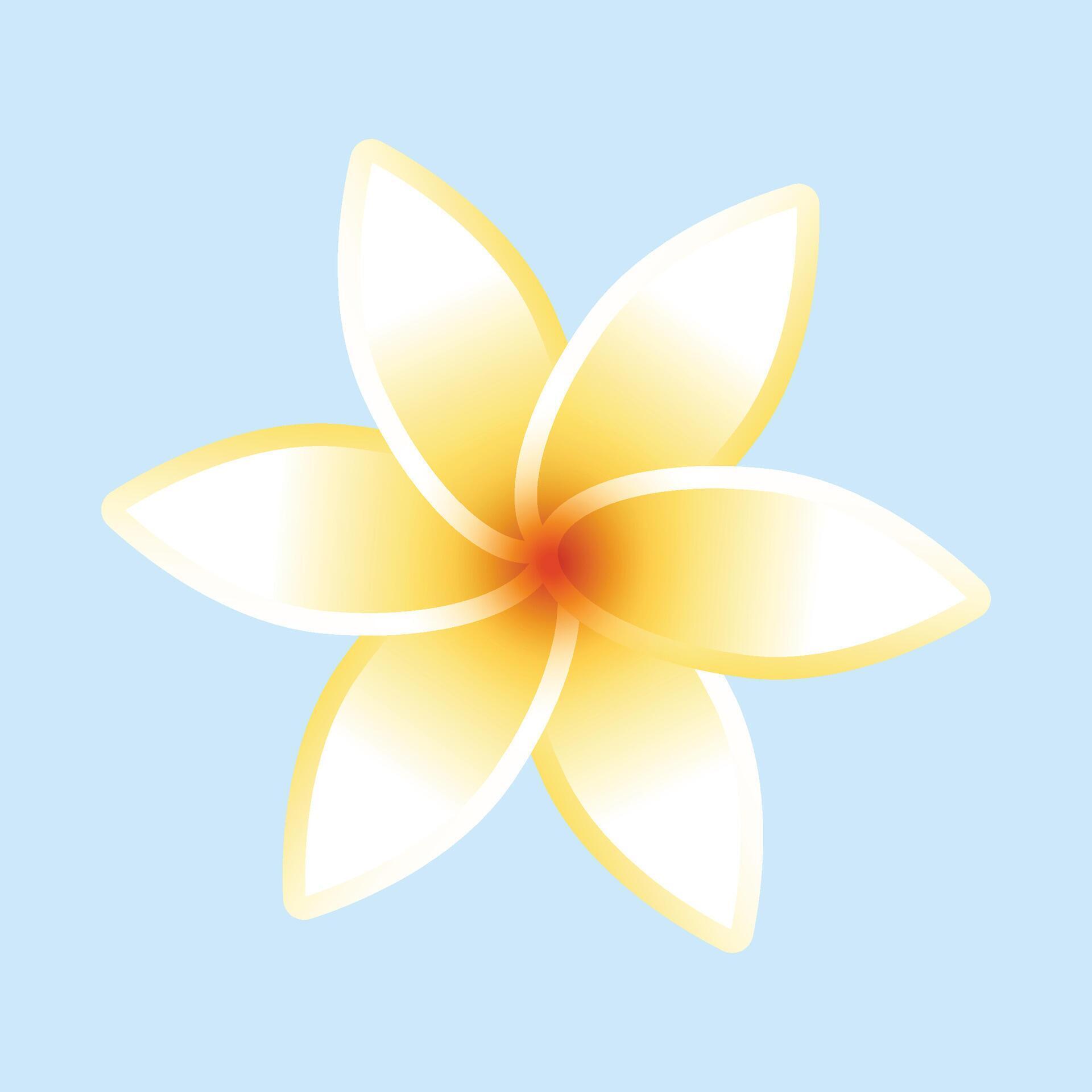 Plumeria flower isolated on white background Stock Free