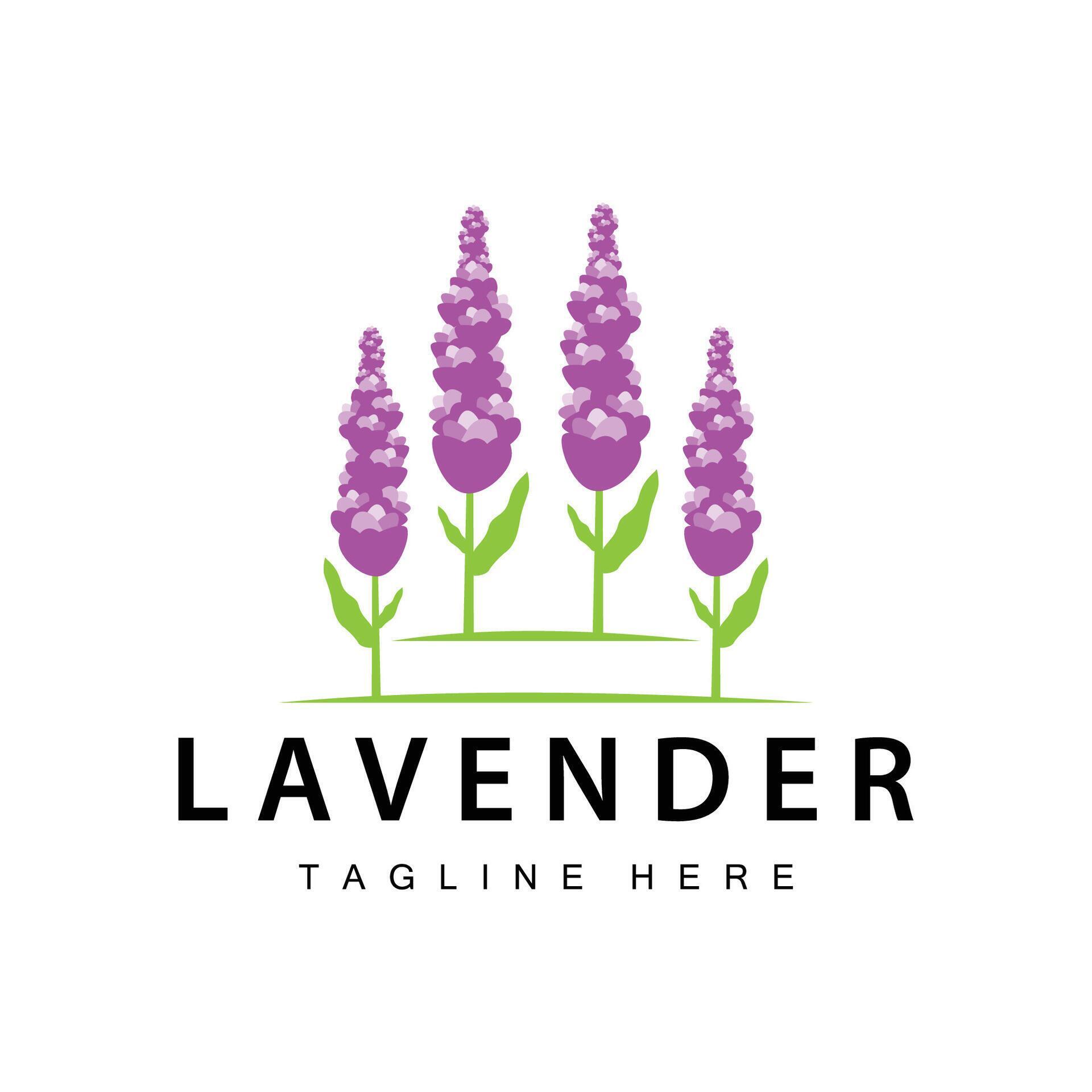 Lavender logo simple design cosmetic plant purple color and aromatherapy lavender flower garden template Stock Free