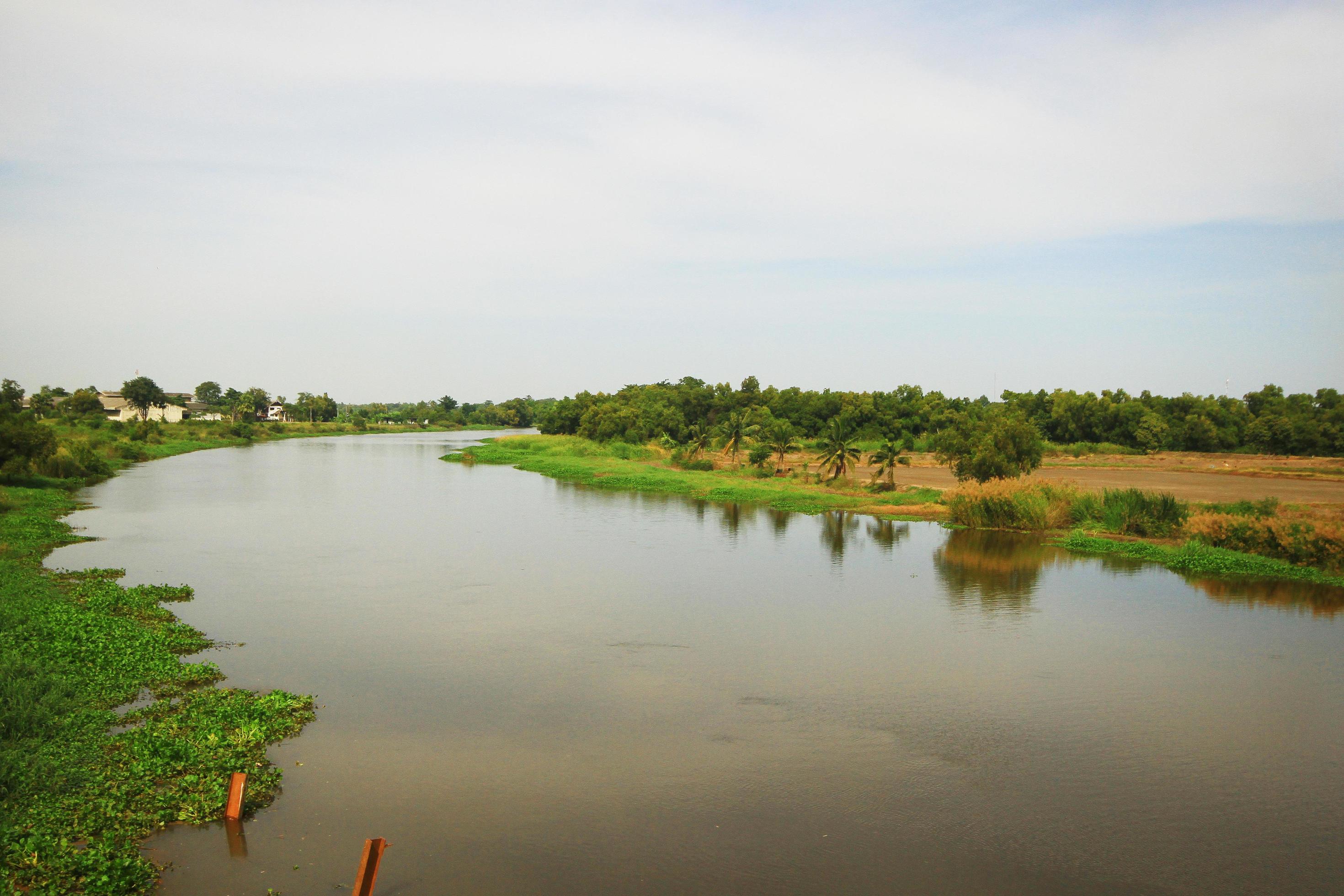 Beautiful Landscape of Fresh green rice fields and plantations near canal in Thailand Stock Free