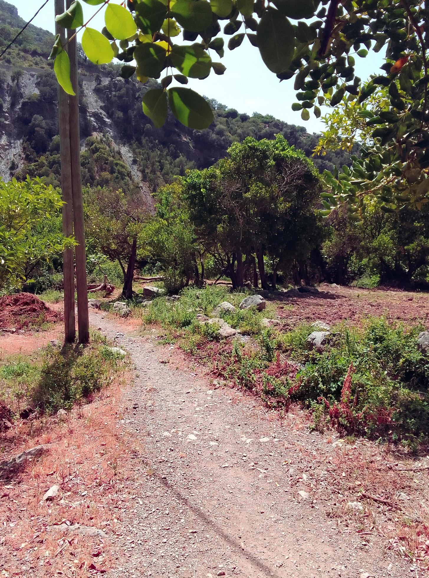 Nature on a serene footpath in the countryside a journey into tranquil and majestic landscapes Stock Free