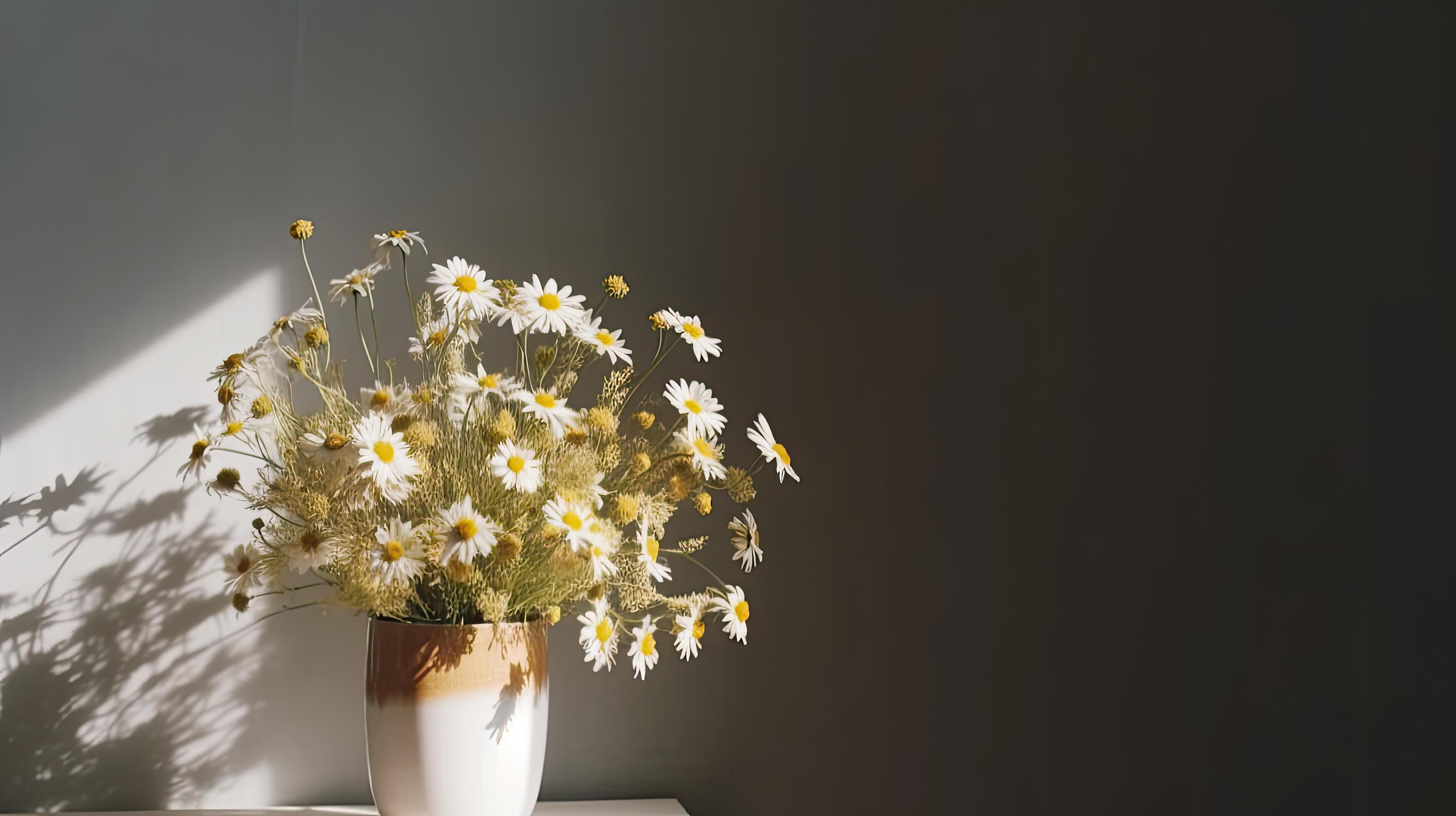 Daisy flower bouquet. Illustration Stock Free