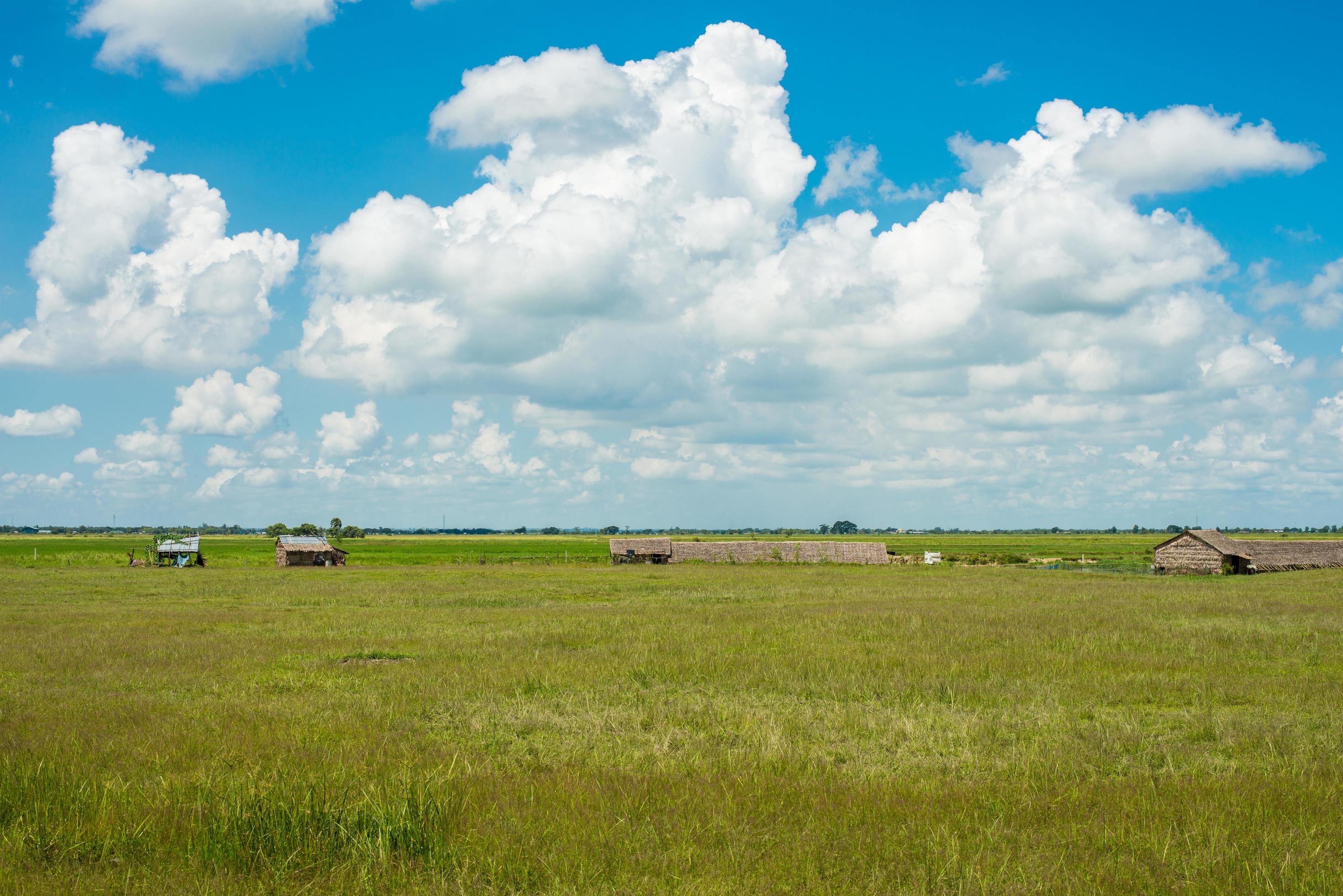 The rice field and scenery view of the countryside of Myanmar. Stock Free