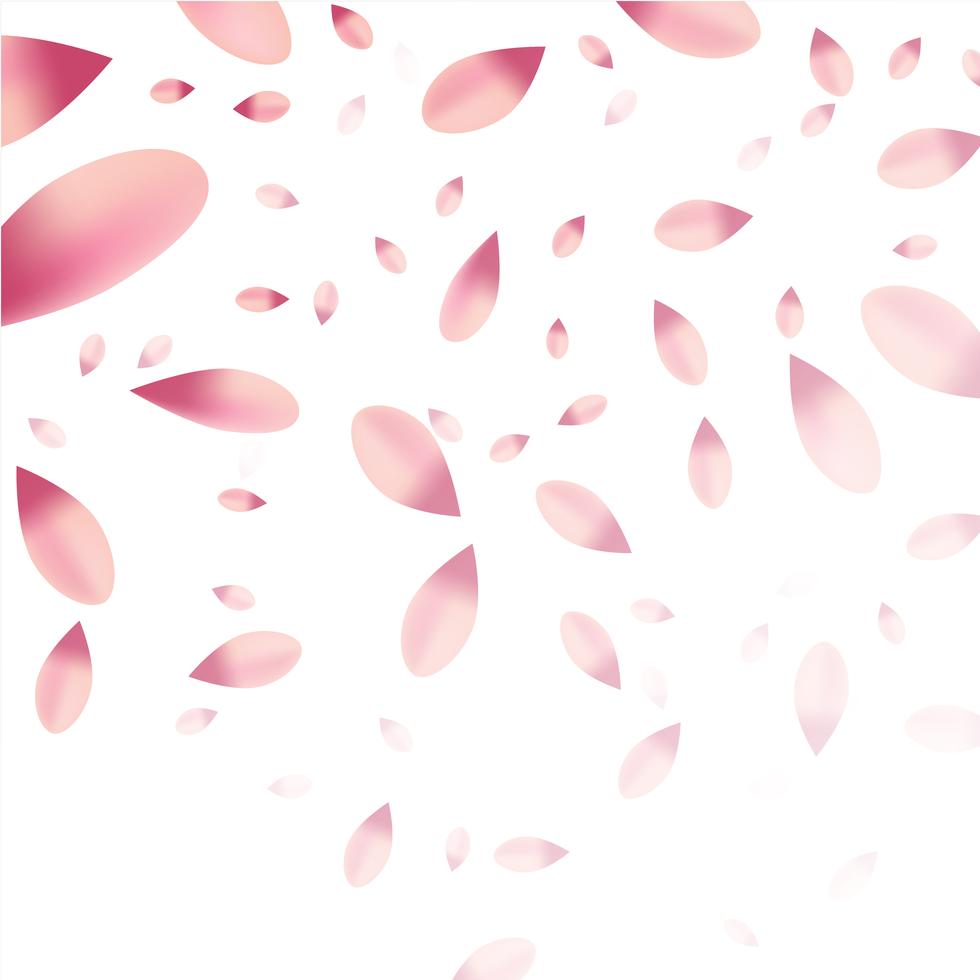 Falling pink flower petals Stock Free