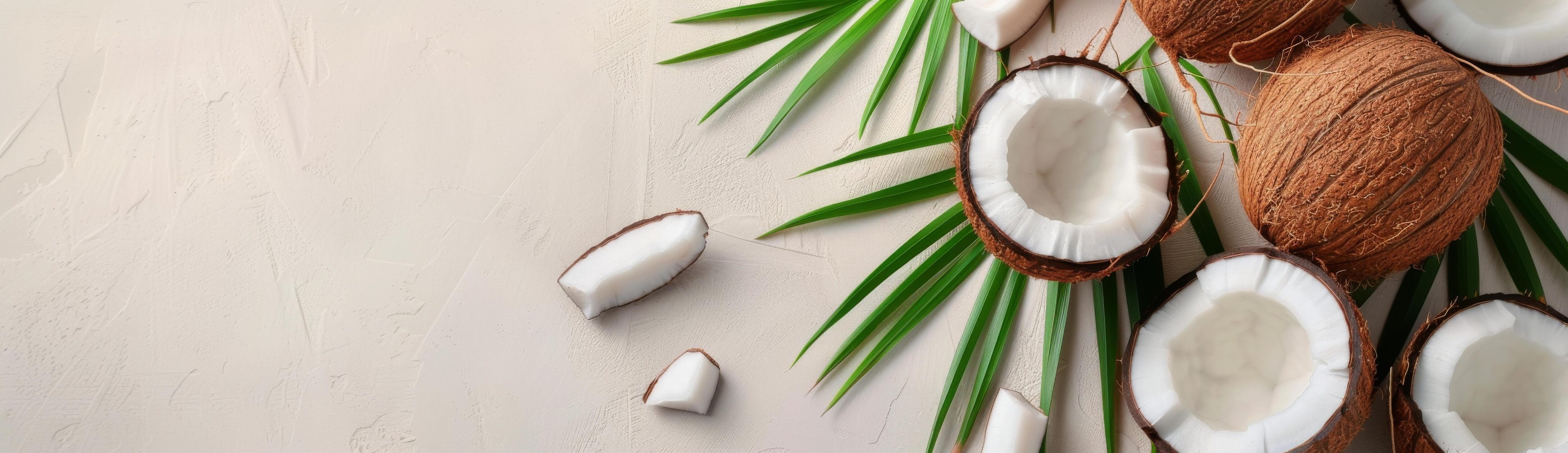 Coconut Halves and Palm Leaf on White Background Stock Free