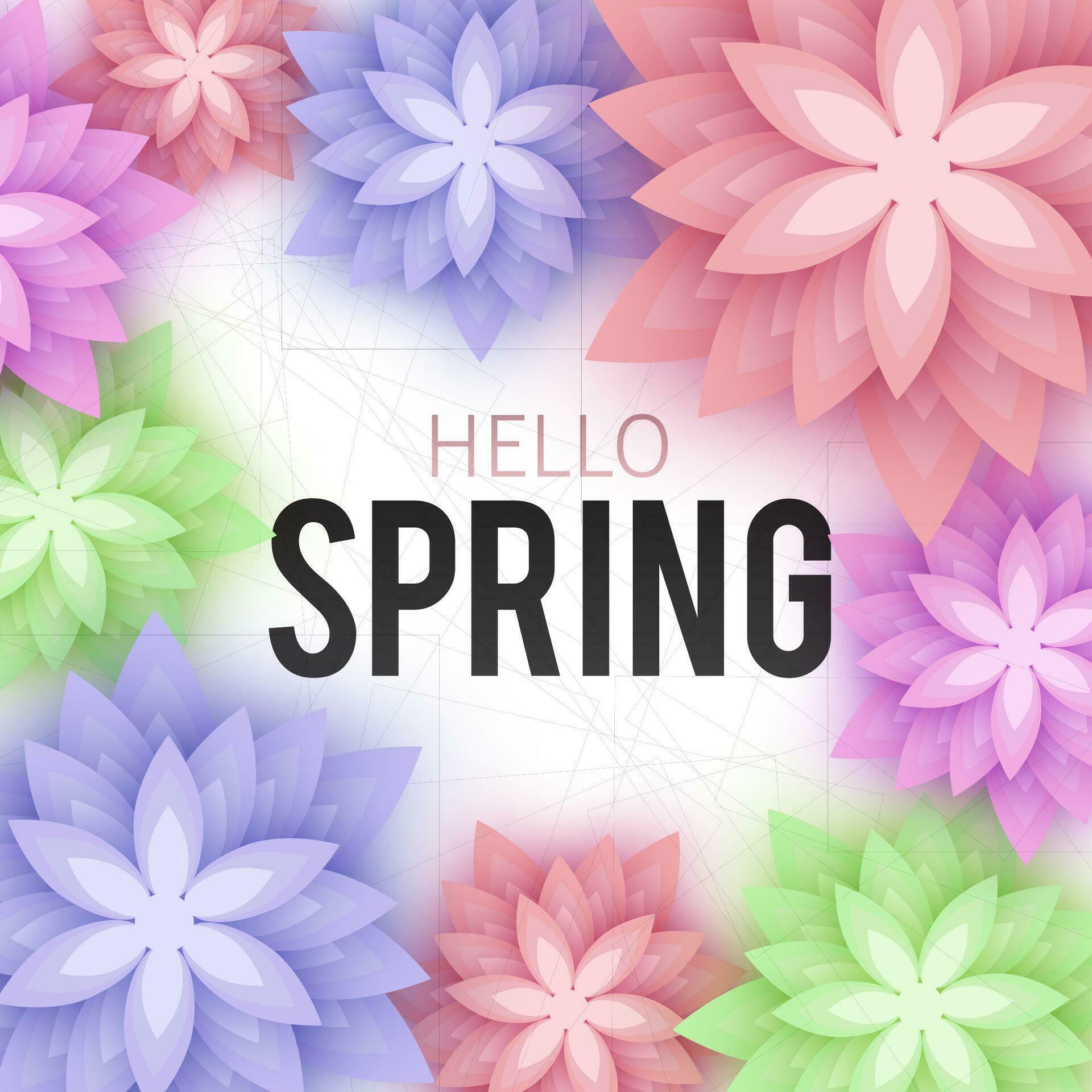 Hello Spring, floral greeting card, paper flowers. Banner with realistic paper flowers. Vector illustration Stock Free