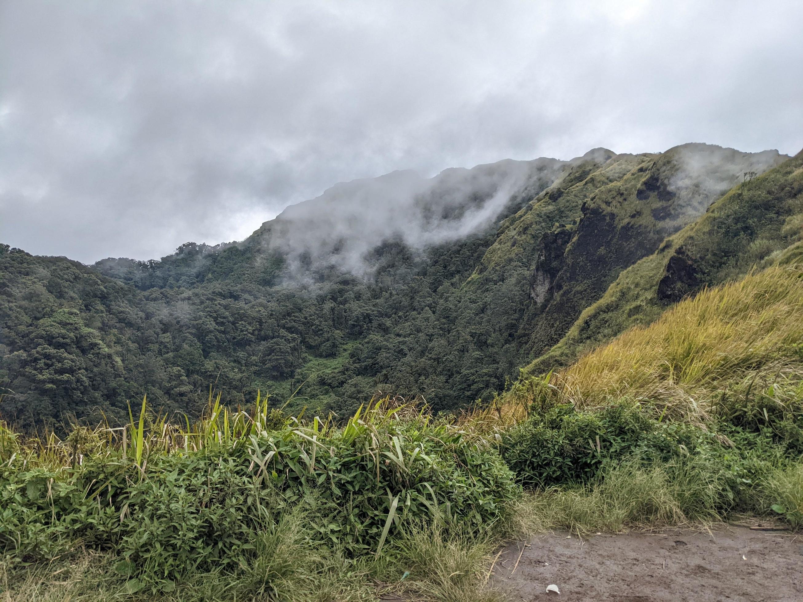 The way going to peak mountain, with Savana and foggy vibes. The photo is suitable to use for adventure content media, nature poster and forest background. Stock Free