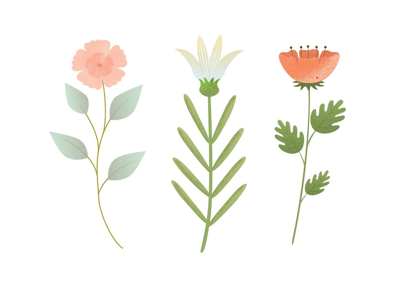 Vector Flower Illustration Stock Free and Free SVG